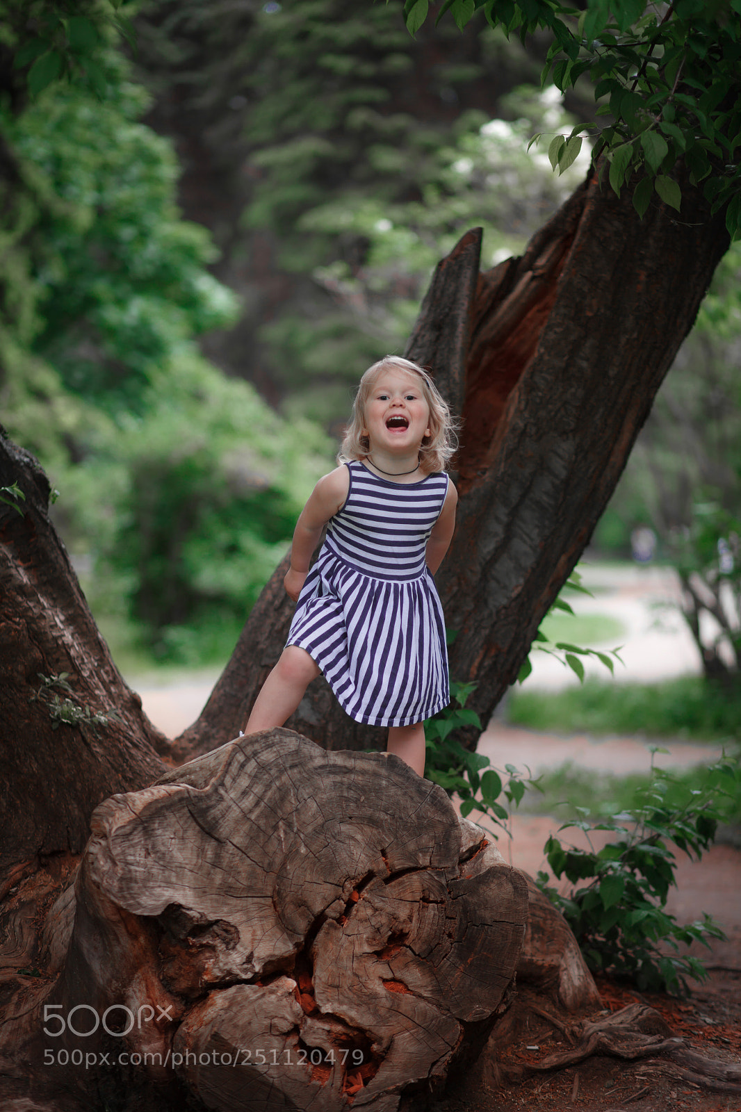 Canon EOS 5D Mark II sample photo. Img photography