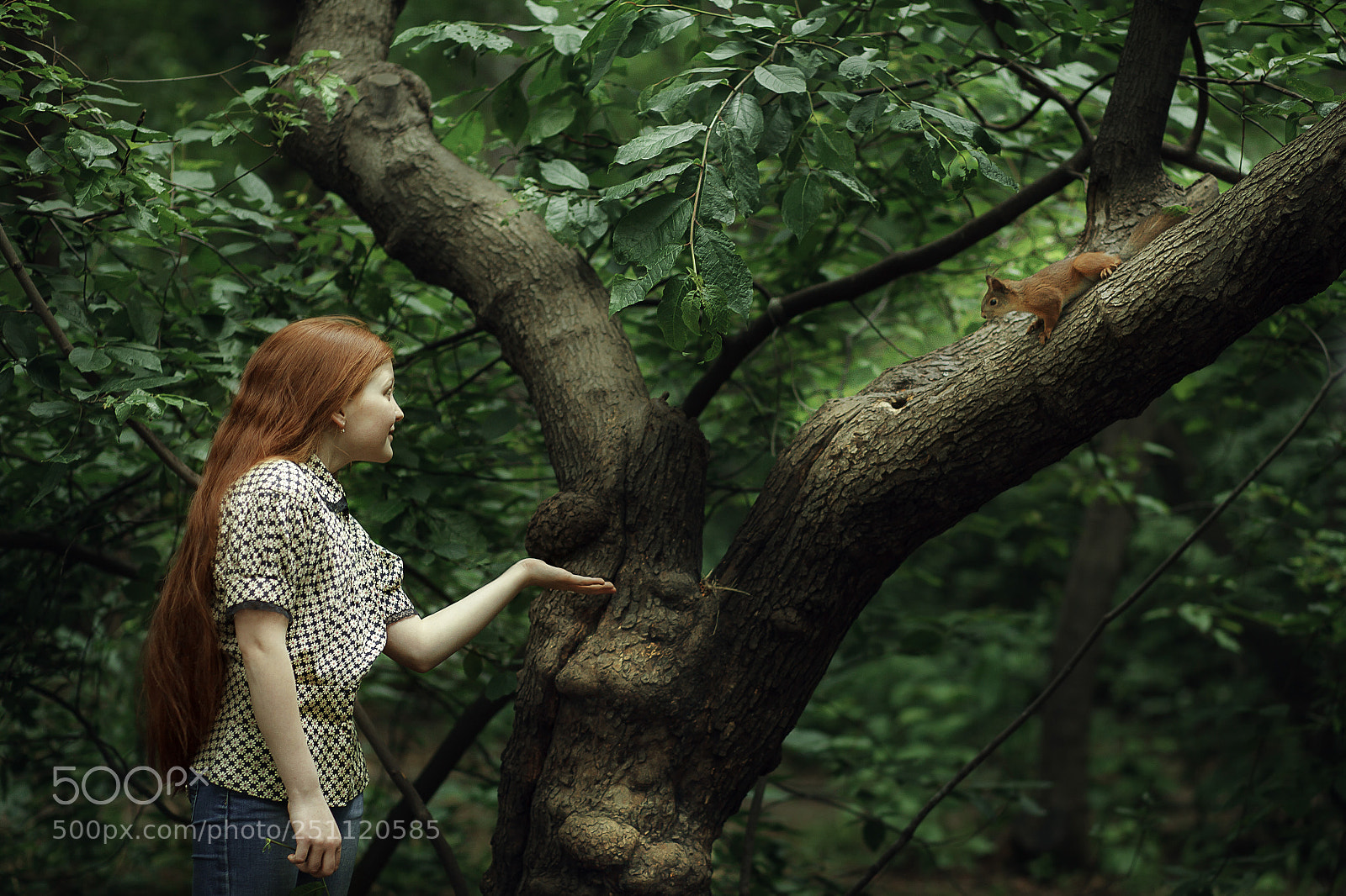 Canon EOS 5D Mark II sample photo. Img photography