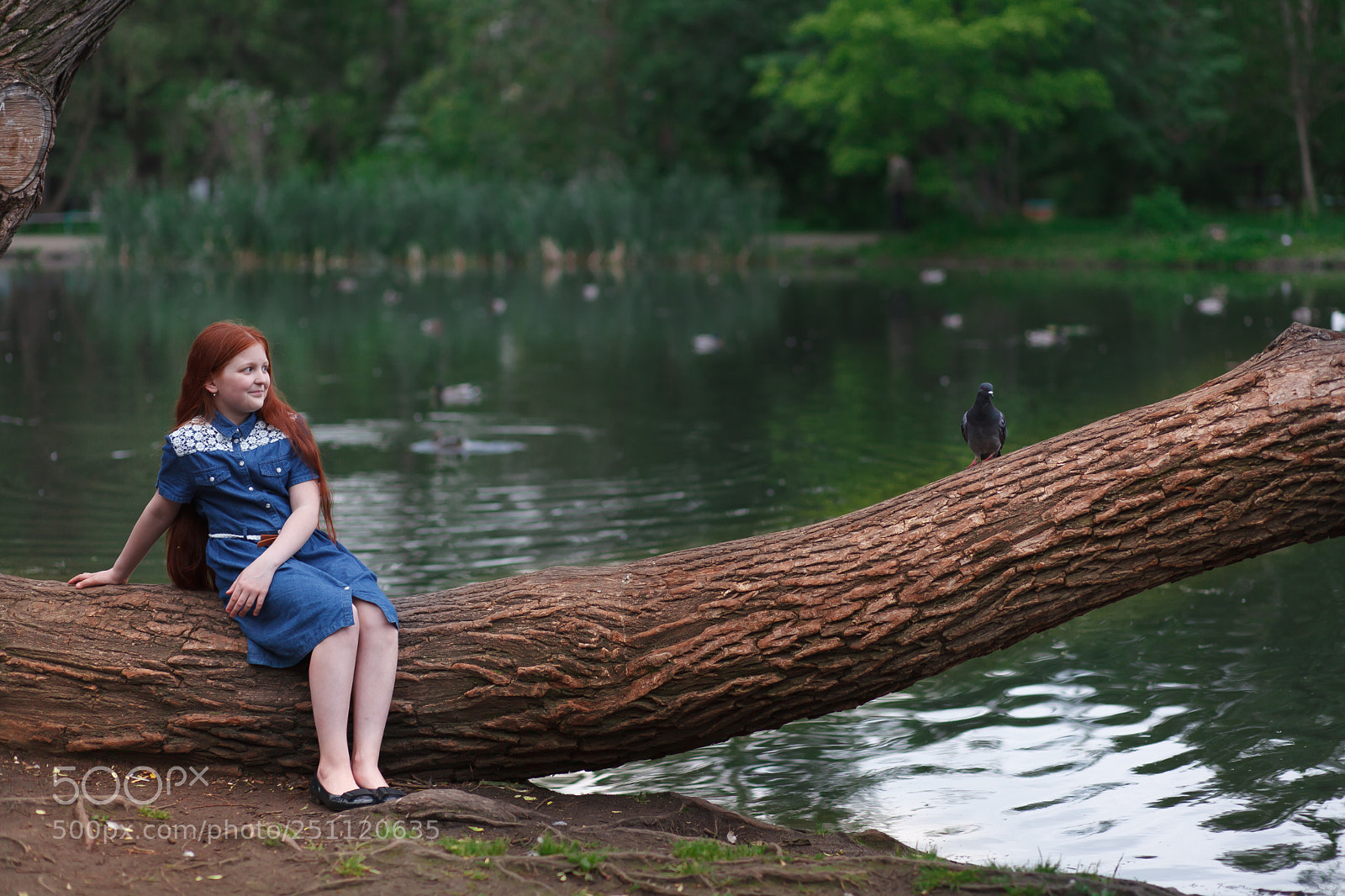 Canon EOS 5D Mark II sample photo. Img photography
