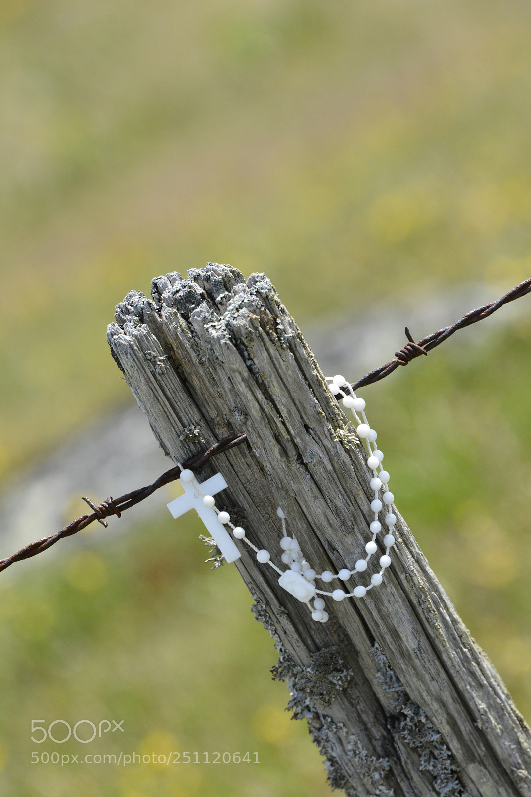 Nikon D7100 sample photo. Pilgrim on the way photography