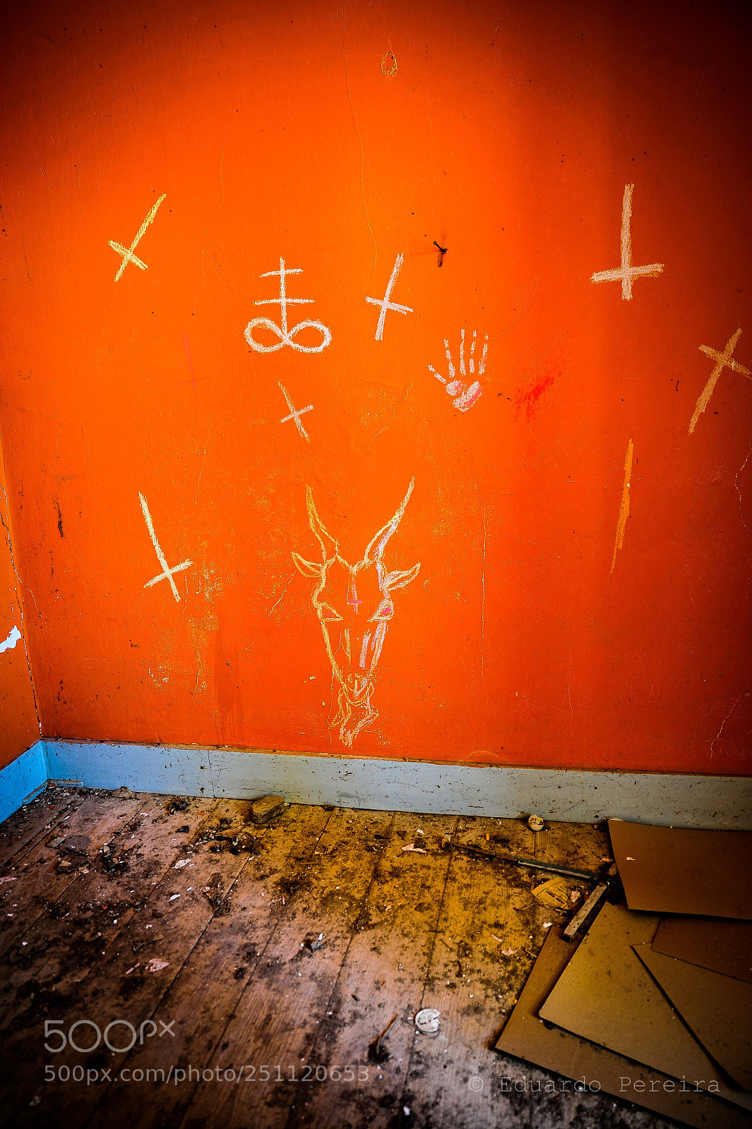 Nikon D700 sample photo. Untitled photography