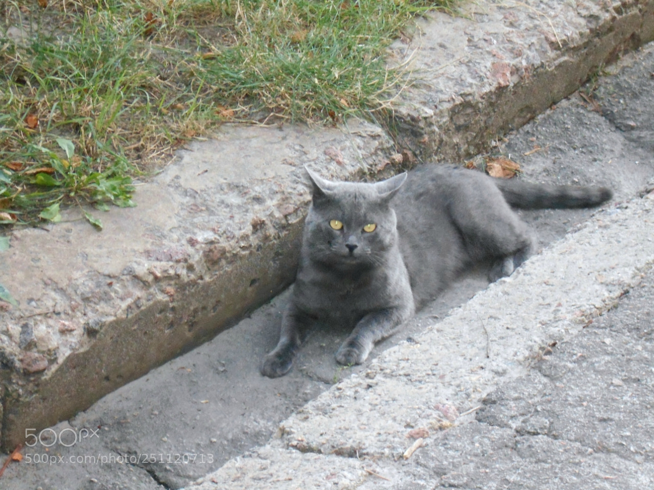 Nikon Coolpix A100 sample photo. Eaa eaaafa orig photography