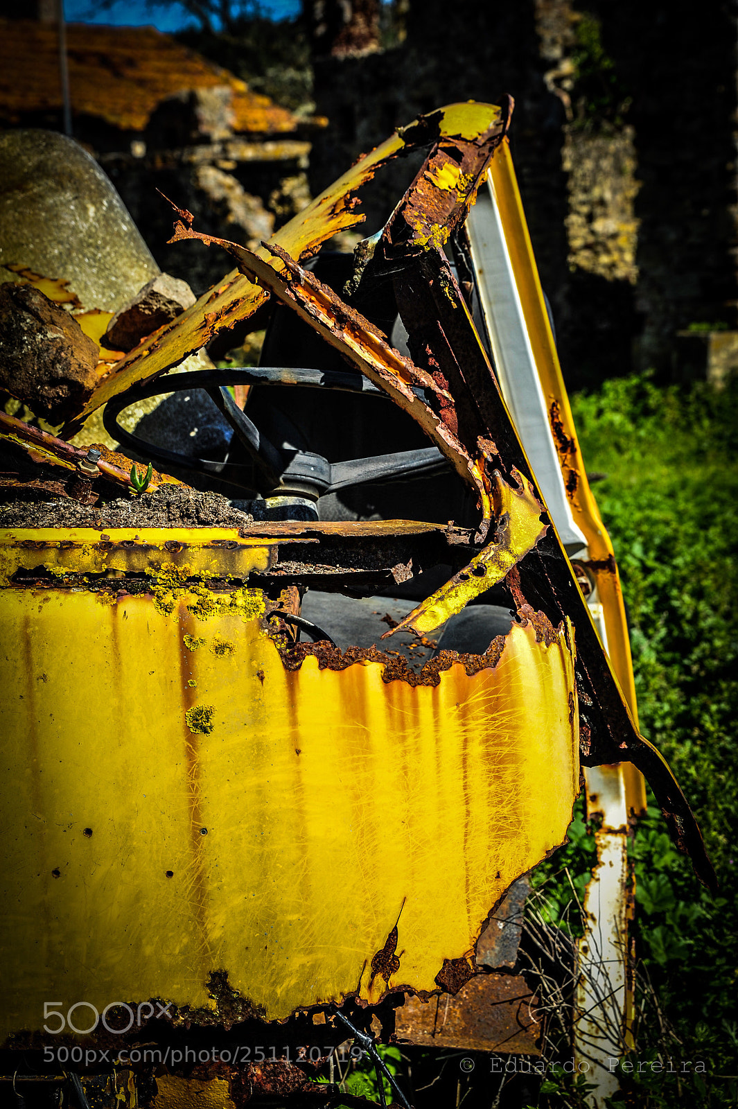 Nikon D700 sample photo. Untitled photography