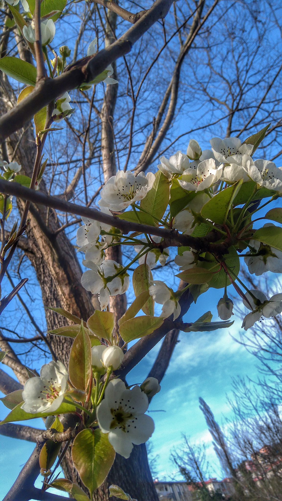 Lenovo K6 NOTE sample photo
