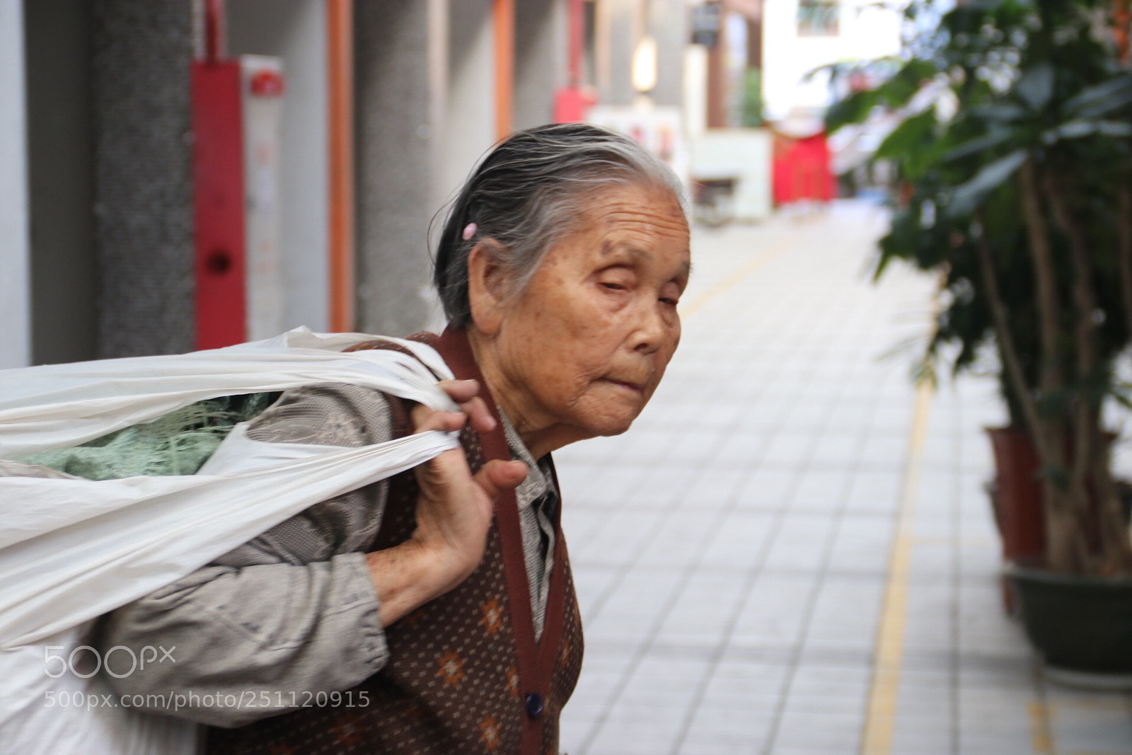 Canon EOS 80D sample photo. Untitled photography