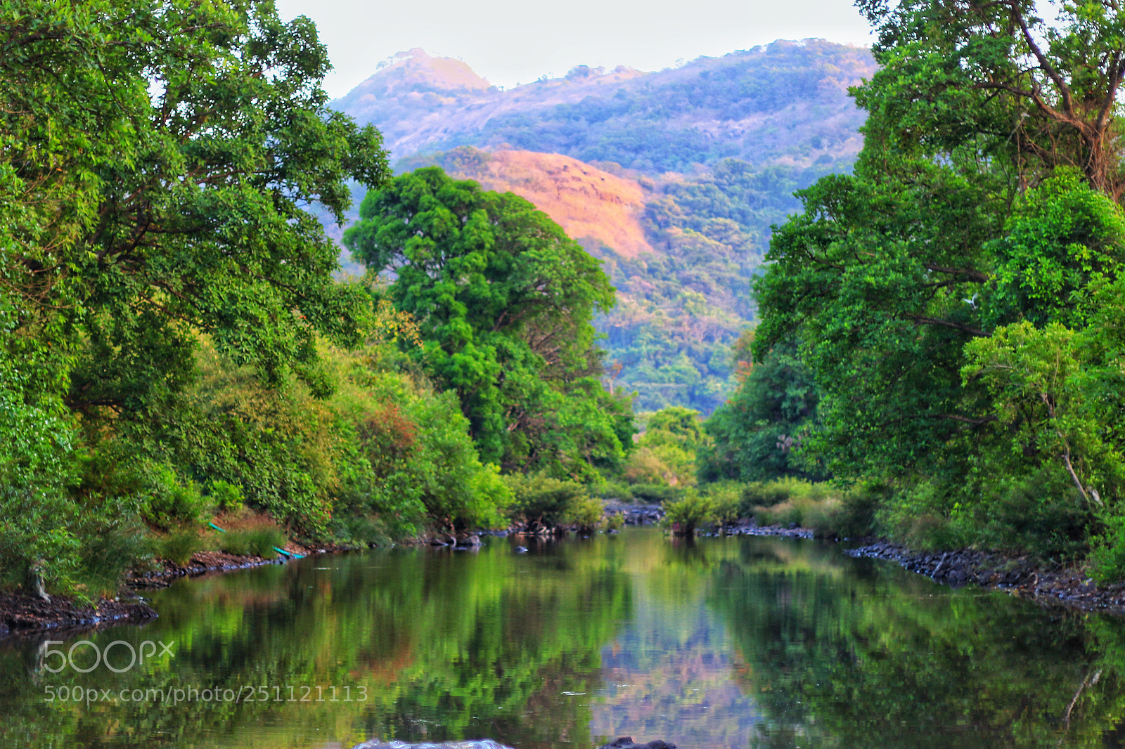 Canon EOS 70D sample photo. Reflections. photography