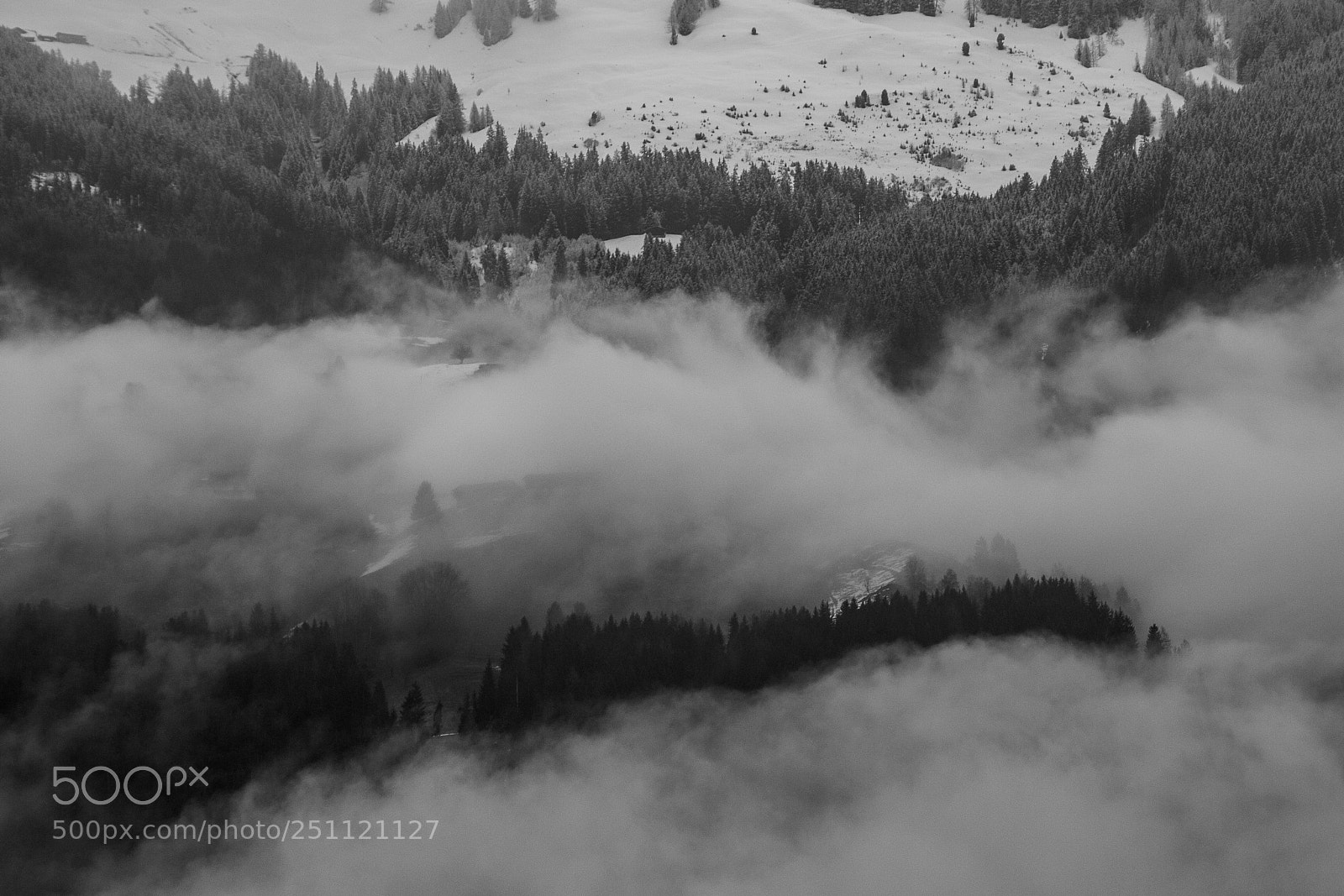 Nikon D7100 sample photo. Cloudy forest - austria photography