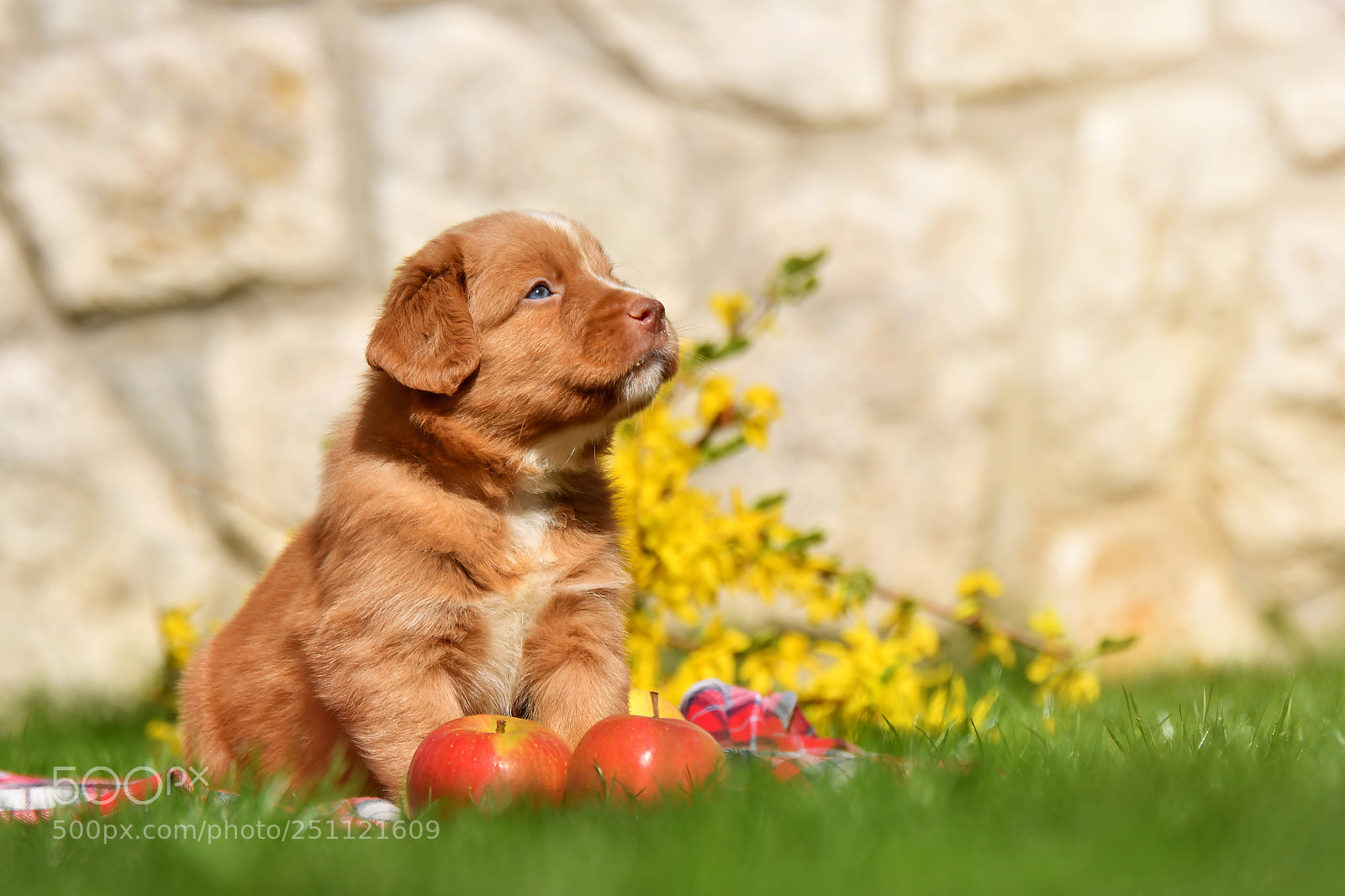 Nikon D500 sample photo. Spring is here photography