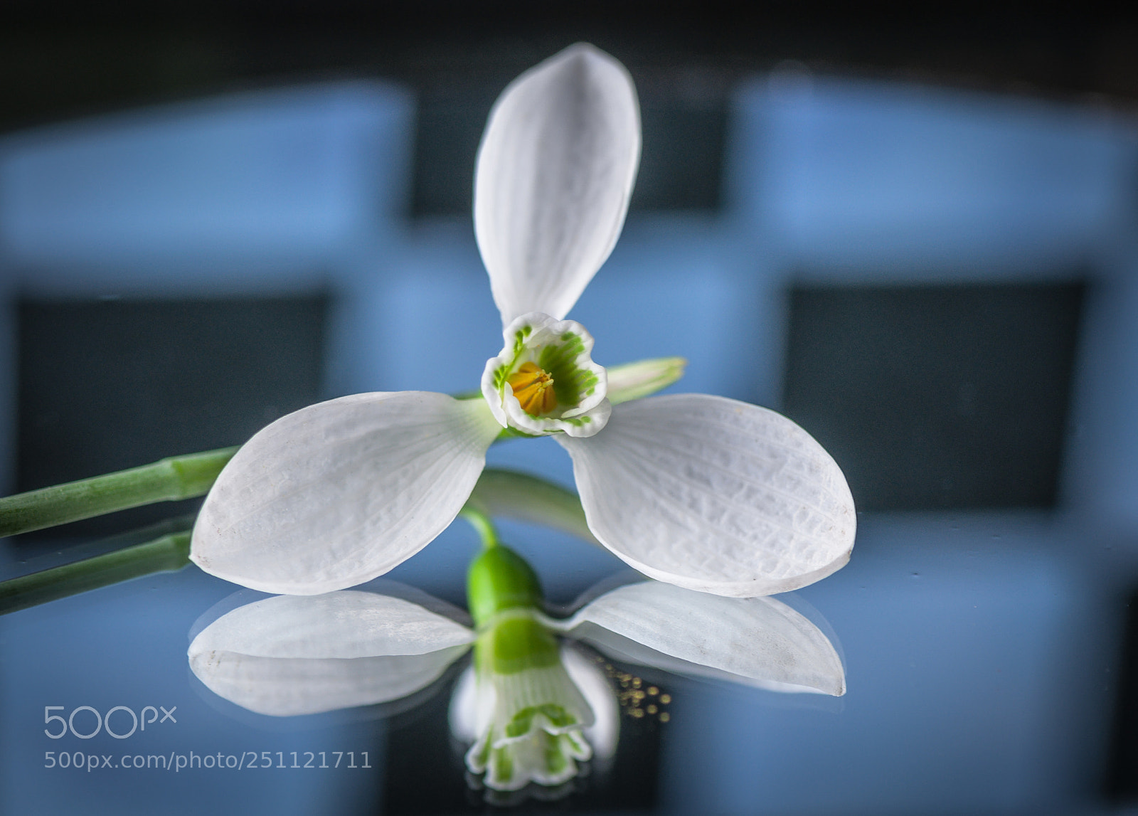 Nikon D5000 sample photo. The main figure of photography