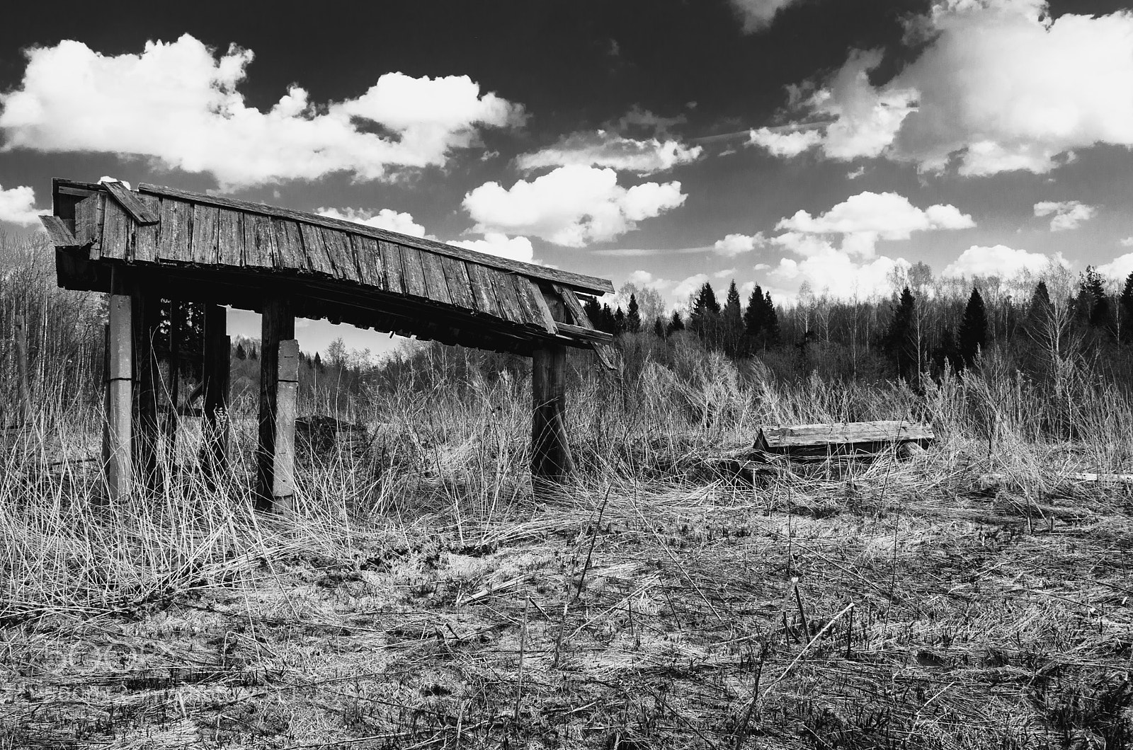 Nikon D5100 sample photo. B&w2 photography