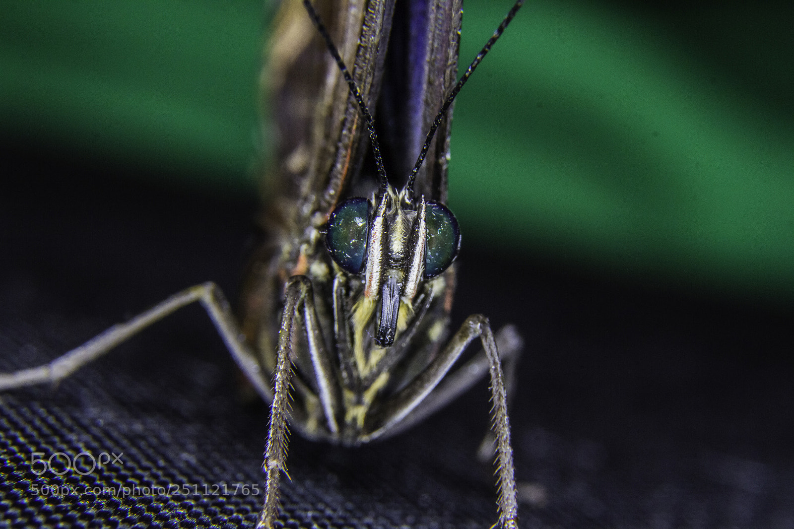 Canon EOS 7D sample photo. Untitled photography