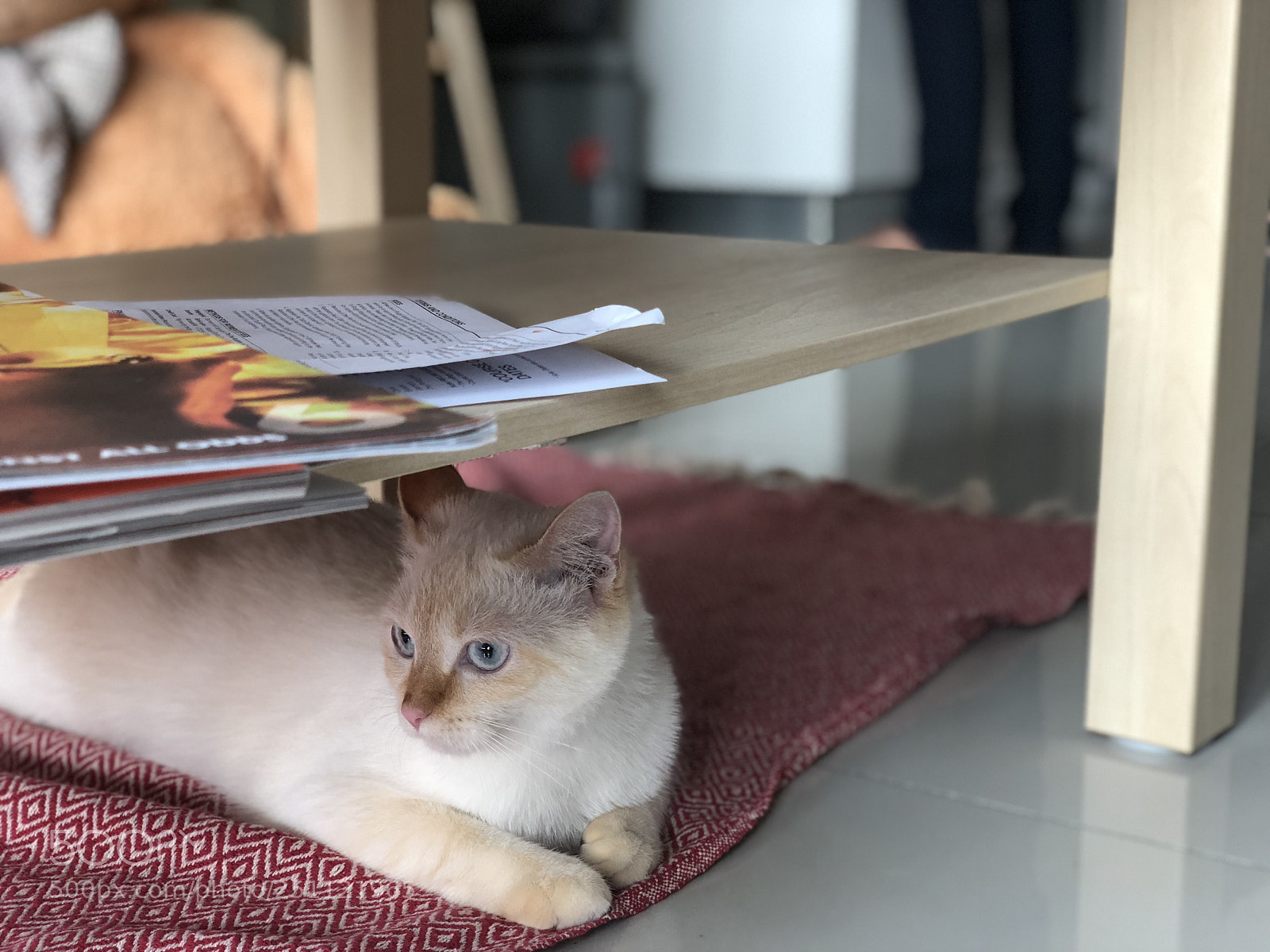 Apple iPhone X sample photo. Untitled photography