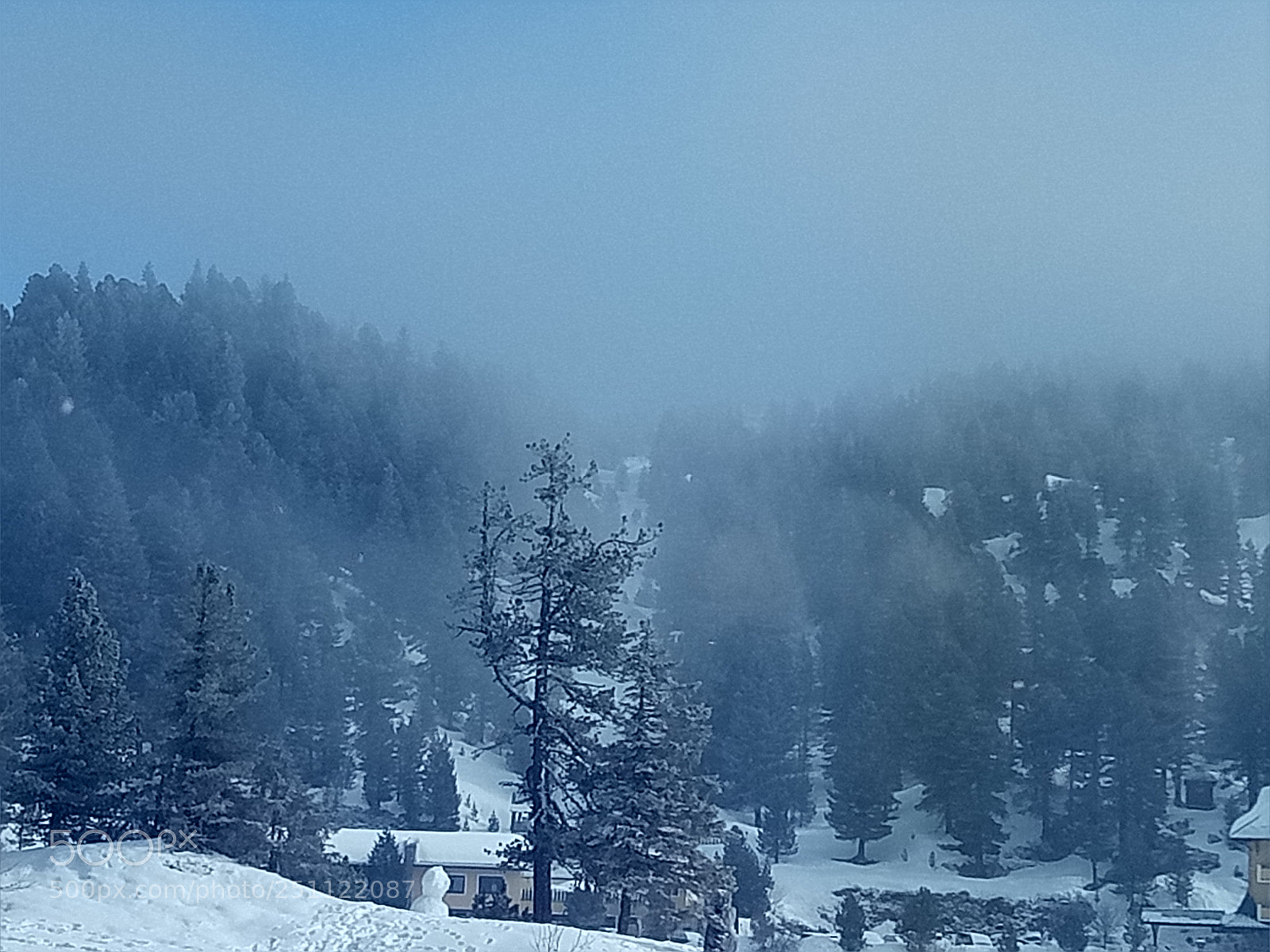 OPPO A1601 sample photo. Foggy winterscape photography