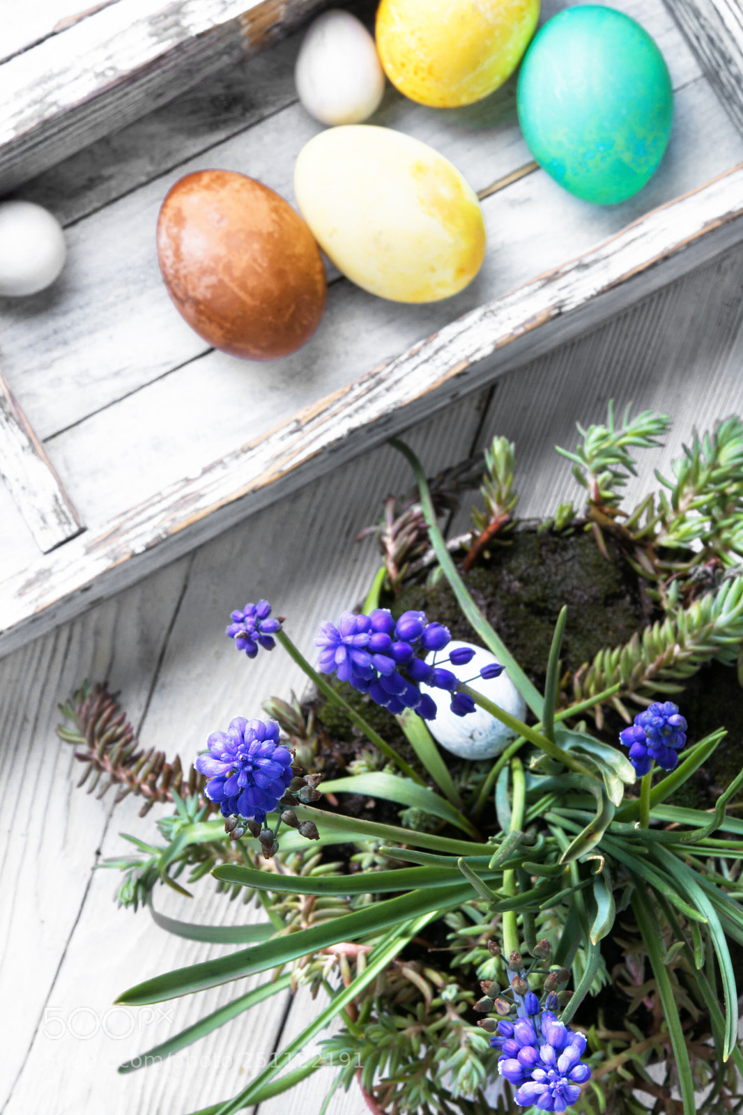 Nikon D7100 sample photo. Colorful easter eggs photography