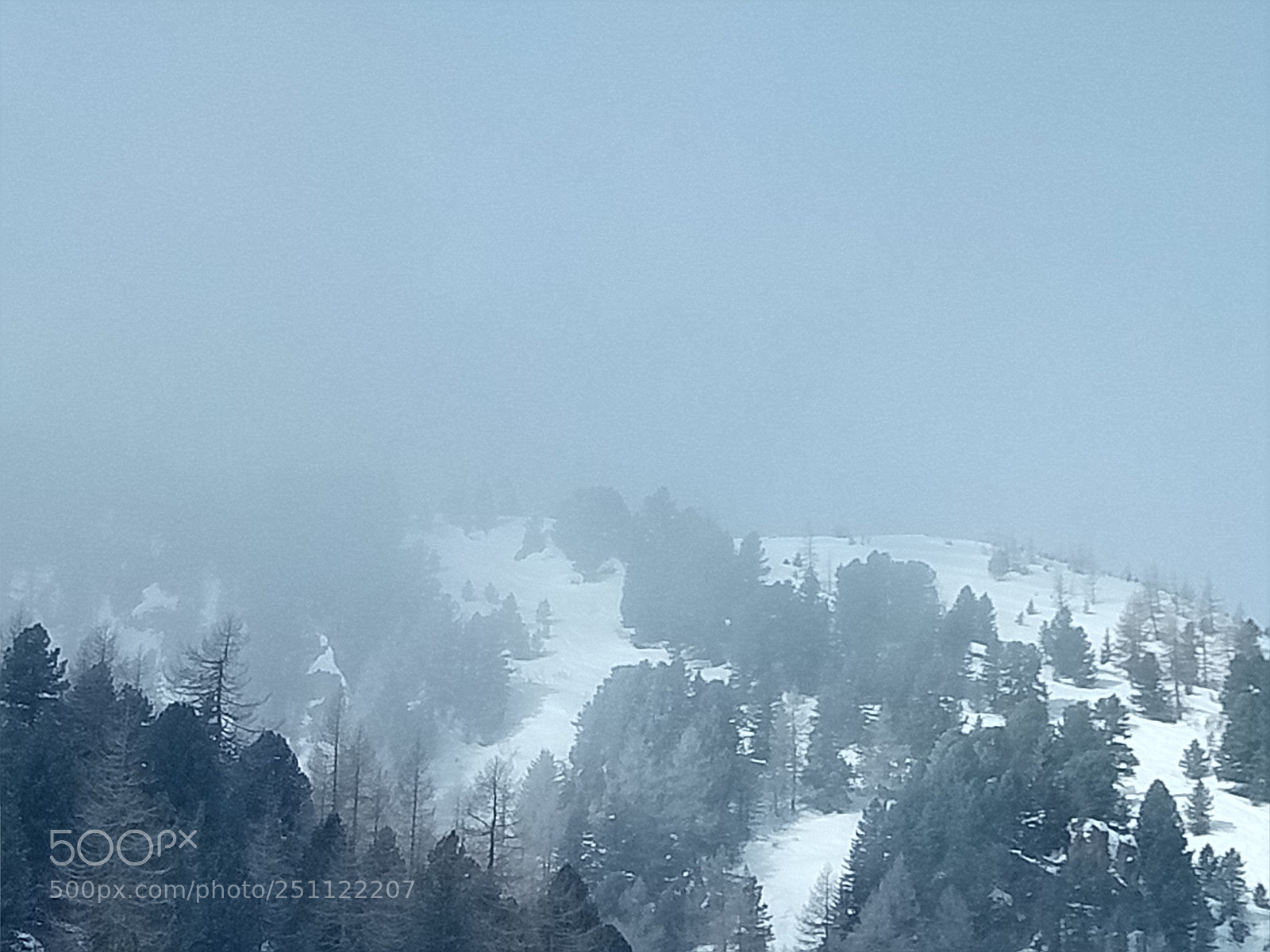 OPPO A1601 sample photo. Foggy winterscape photography