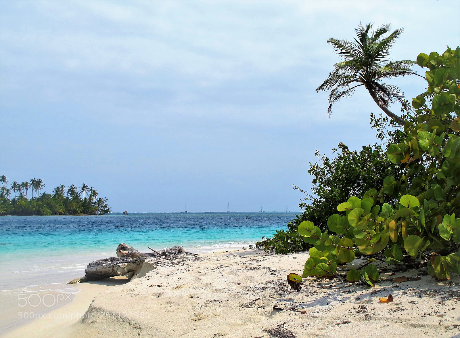 Canon PowerShot G12 sample photo. Just paradise photography