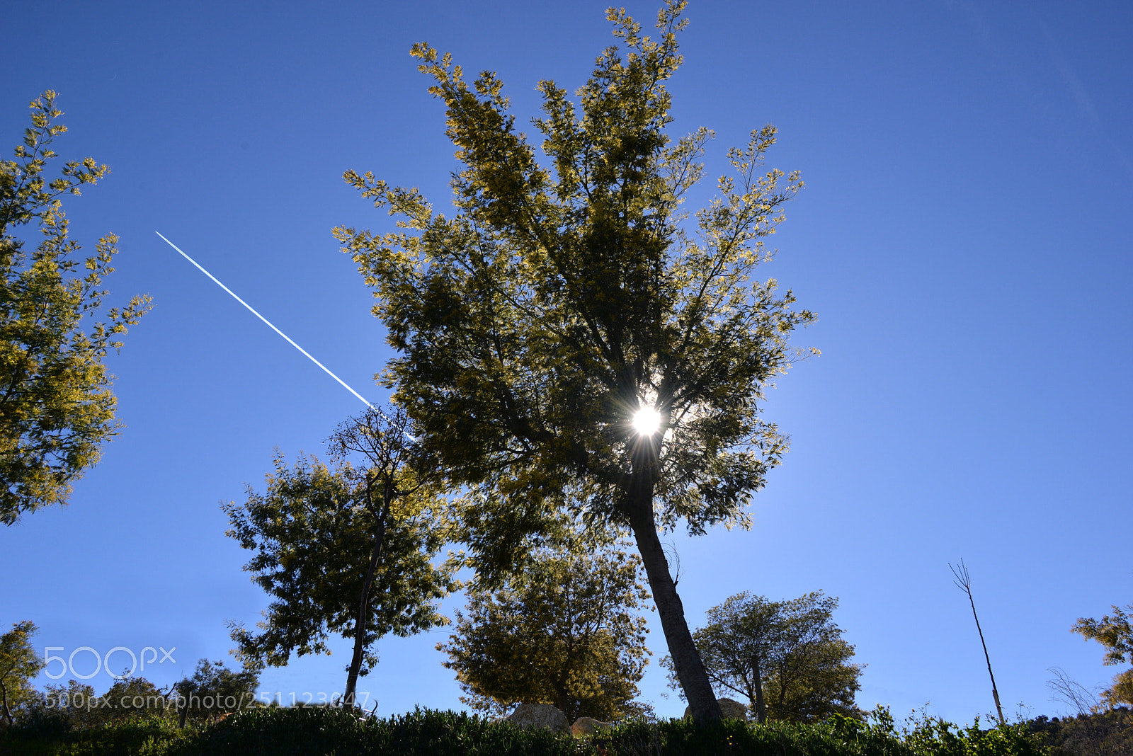 Nikon D610 sample photo. Blue sky of provence photography