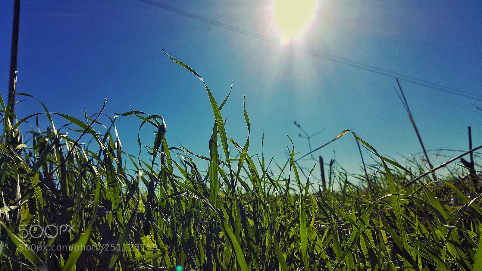 Samsung Galaxy S6 sample photo. So far so close photography