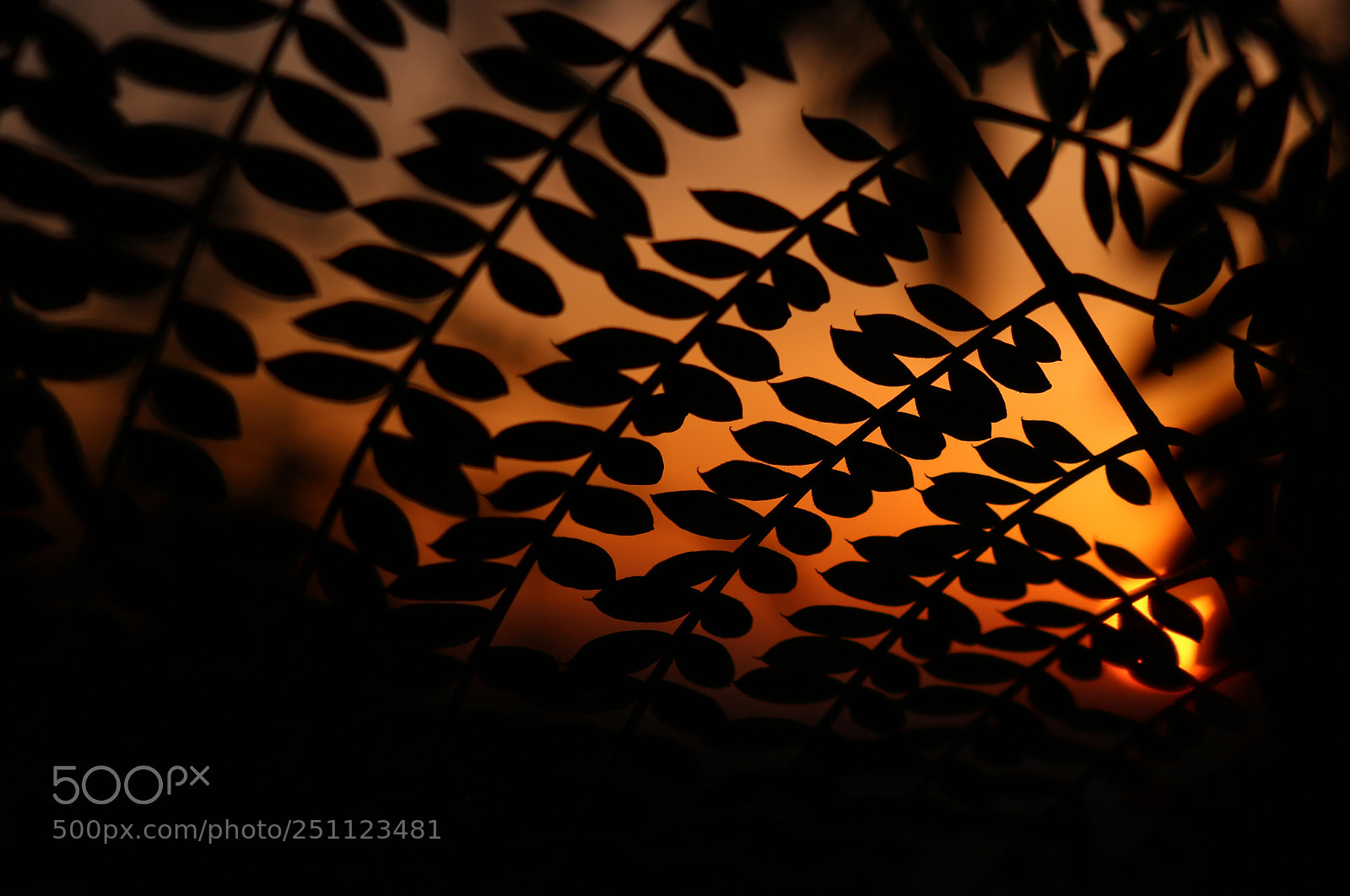 Canon EOS 750D (EOS Rebel T6i / EOS Kiss X8i) sample photo. Sunset ........ :) photography