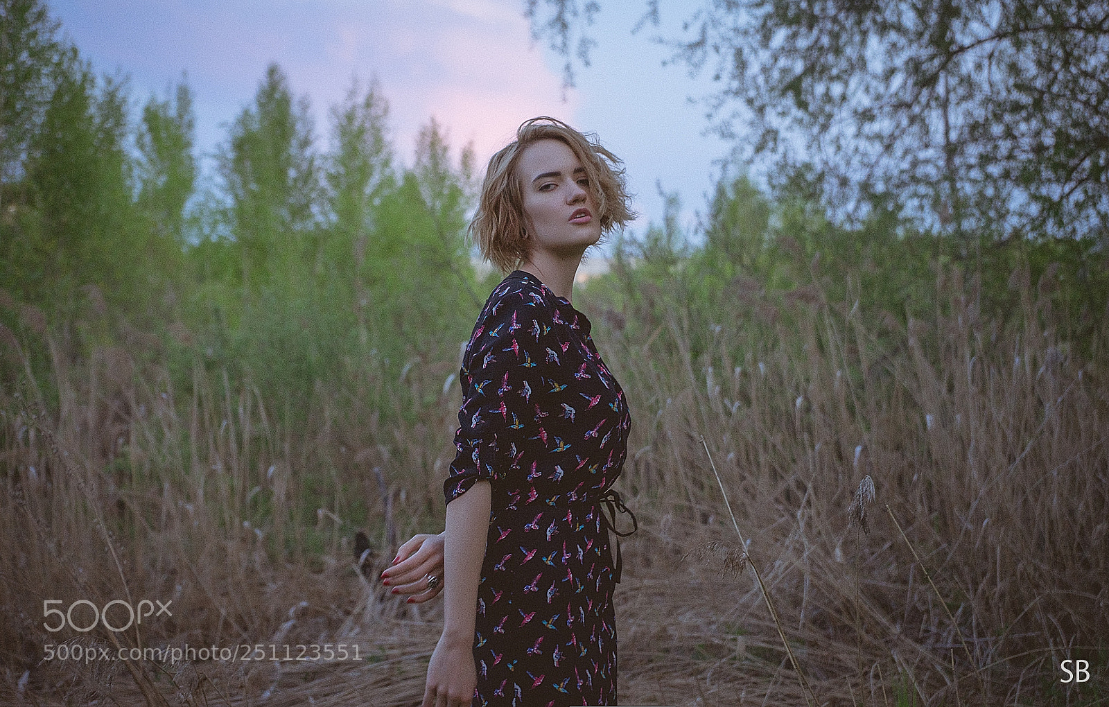 Sony a7 sample photo. Ren photography