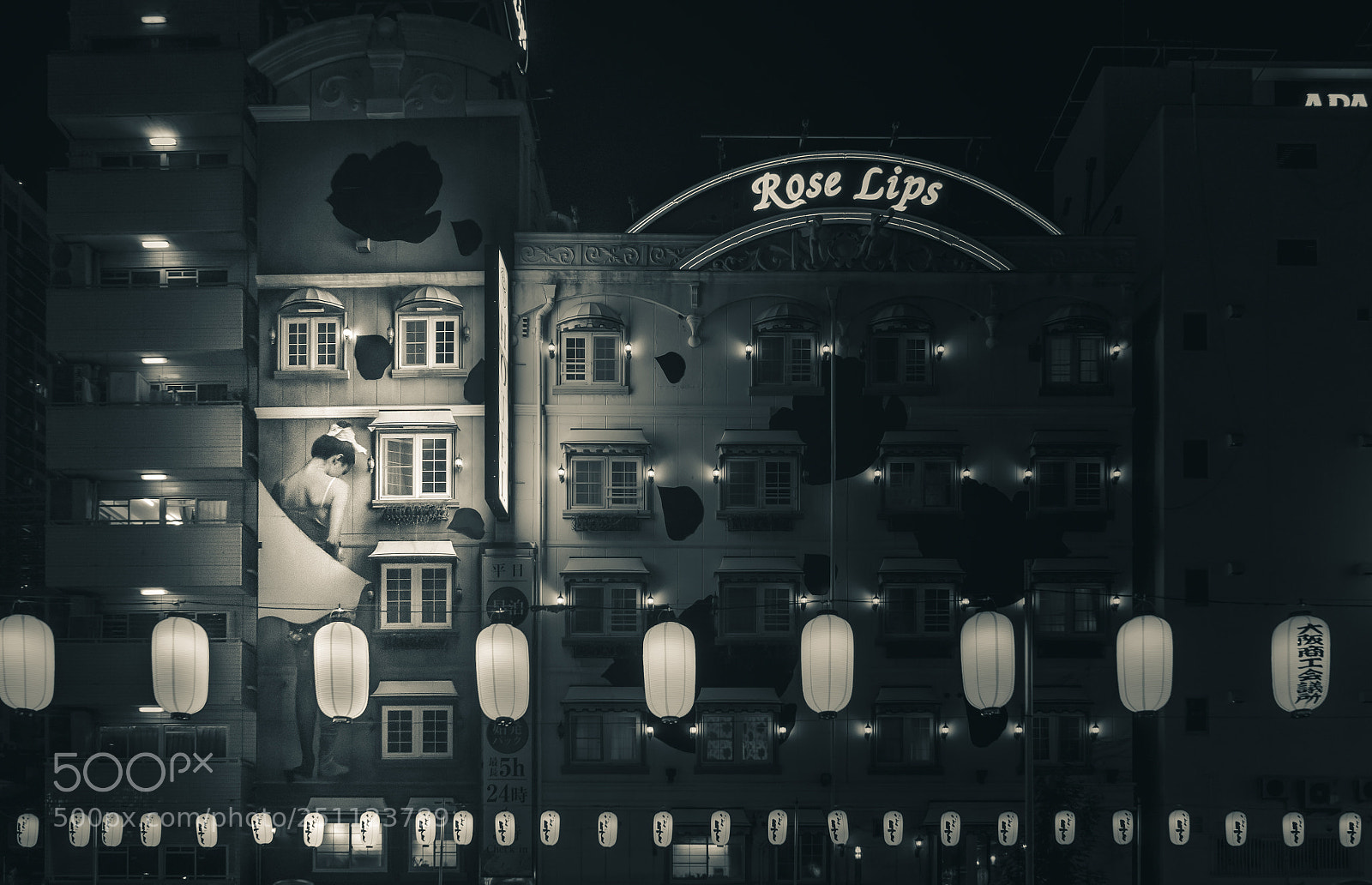 Sony a7 sample photo. Rose lips photography