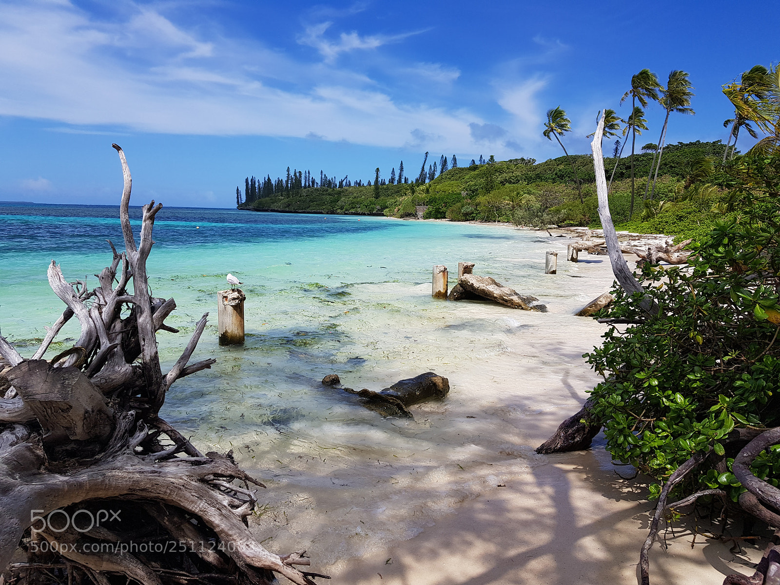 Samsung Galaxy S8+ sample photo. Panorama on isle of photography