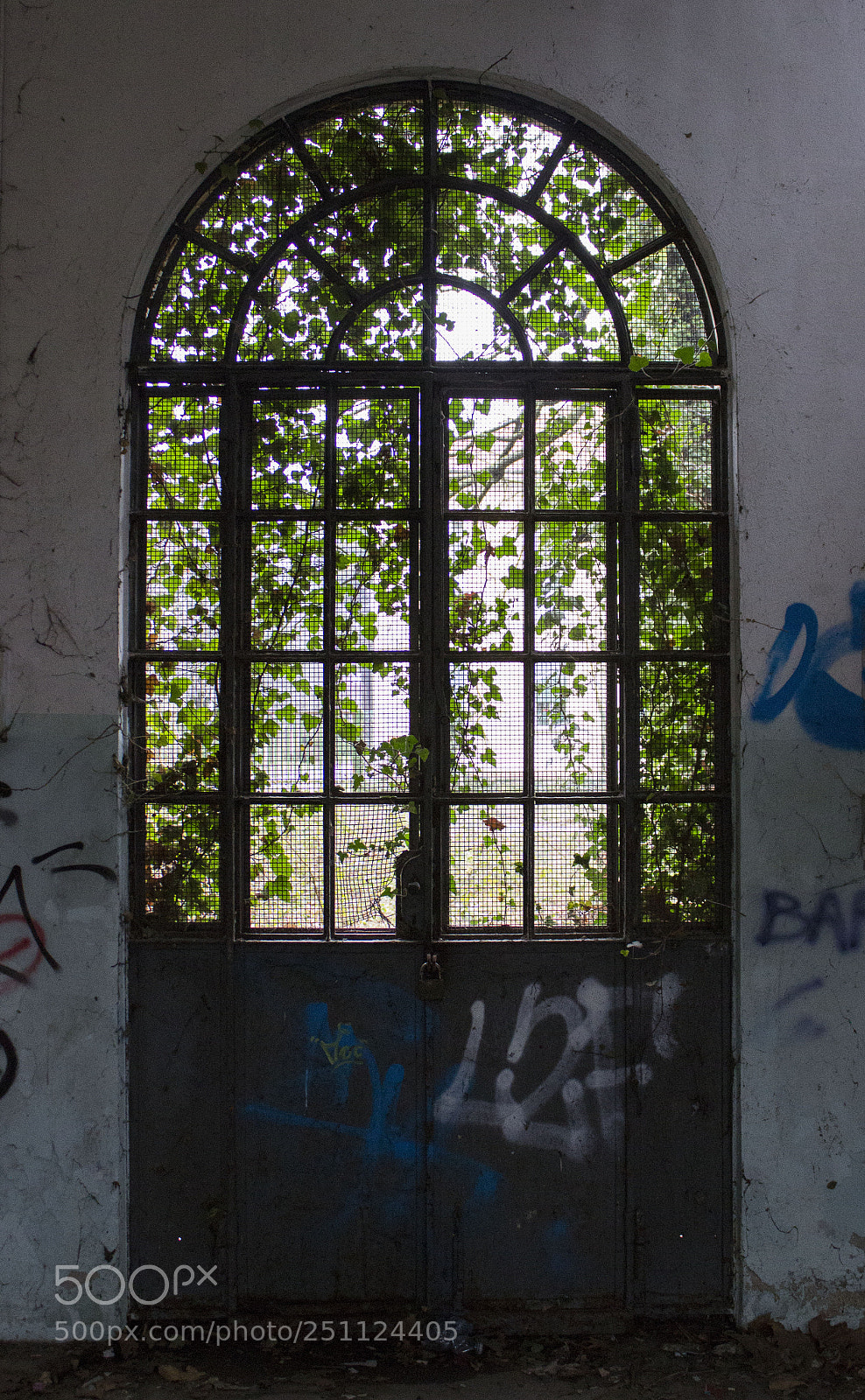 Canon EOS 600D (Rebel EOS T3i / EOS Kiss X5) sample photo. Ex ospedale psichiatrico mombello photography