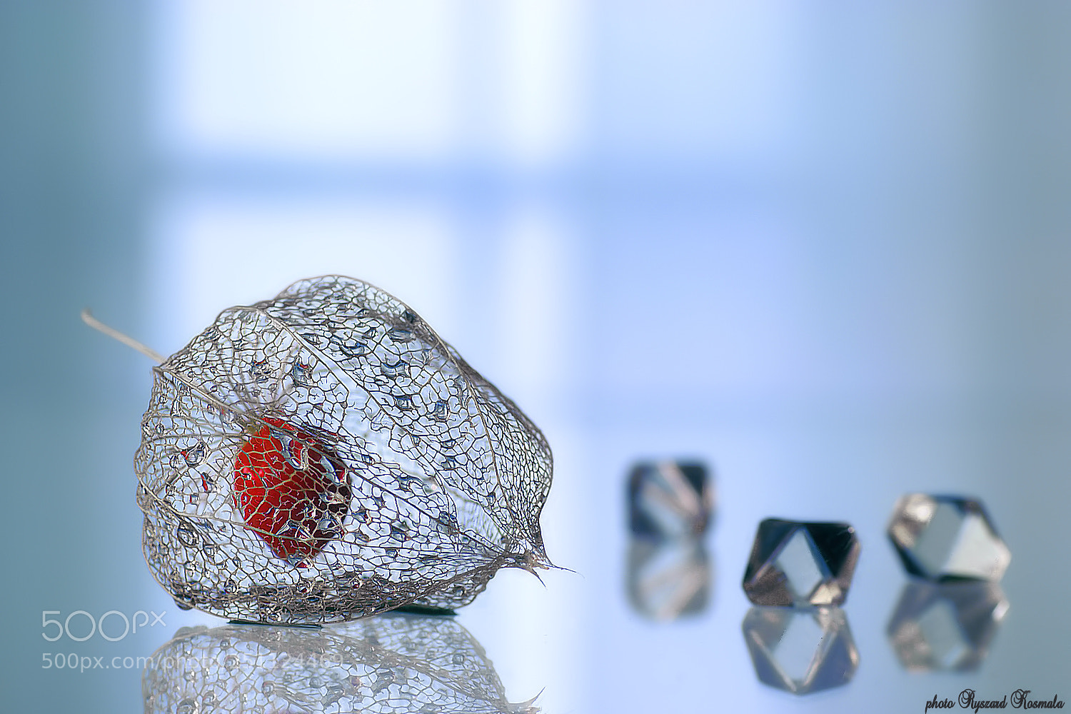 Sony Alpha DSLR-A300 sample photo. Crystal prison photography