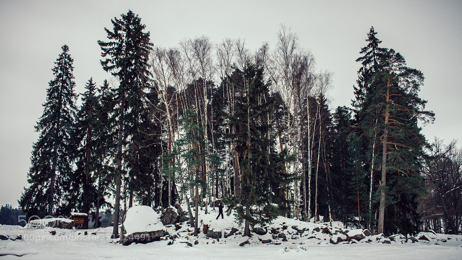 Canon EOS 7D sample photo. Vybog photography