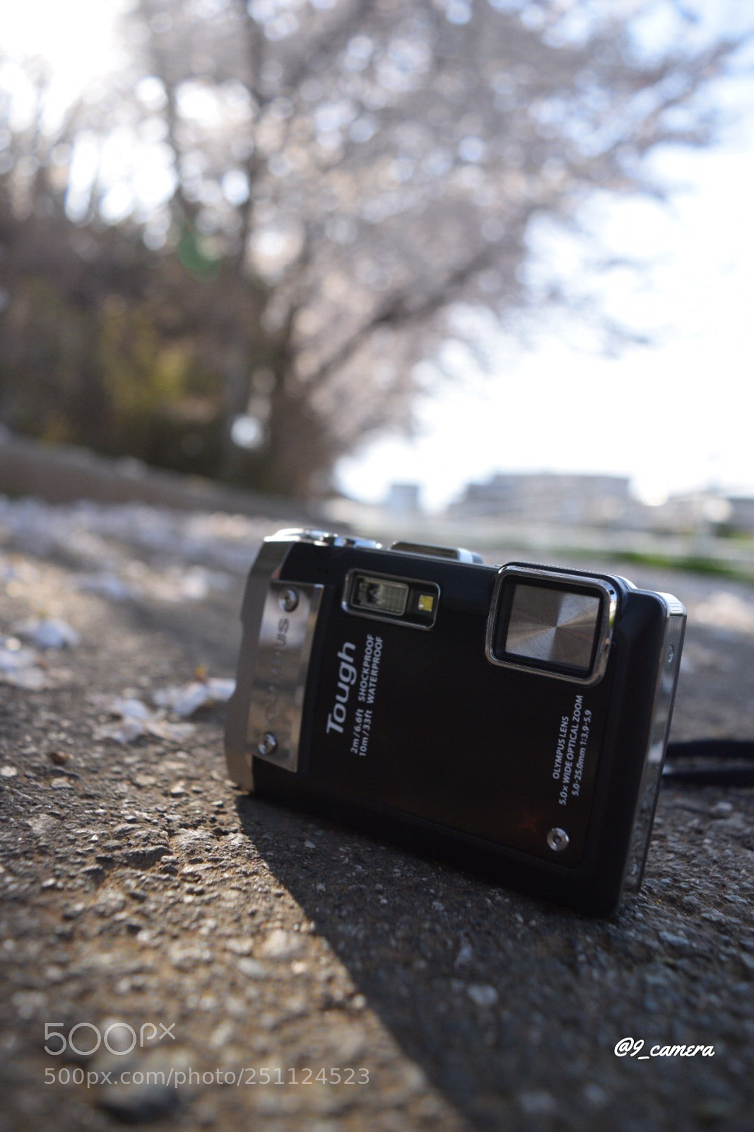 Nikon D5300 sample photo. Aad cbea dfdbff photography