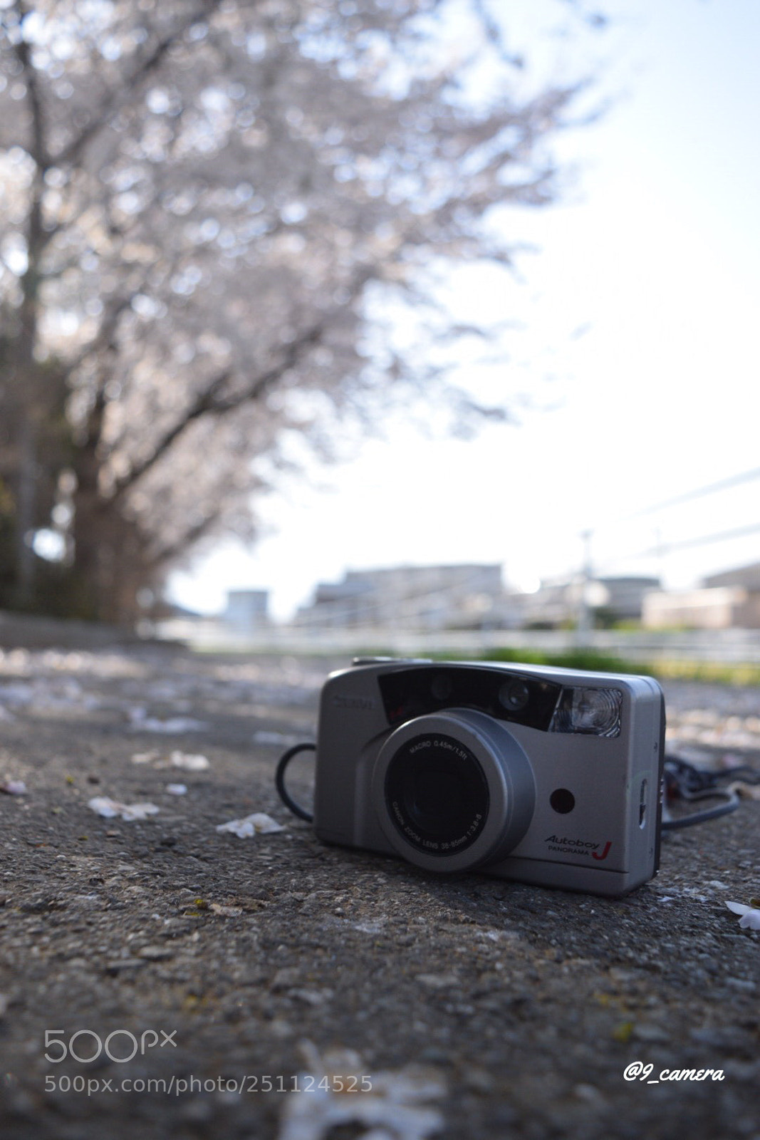 Nikon D5300 sample photo. Efcb ecb dabd photography