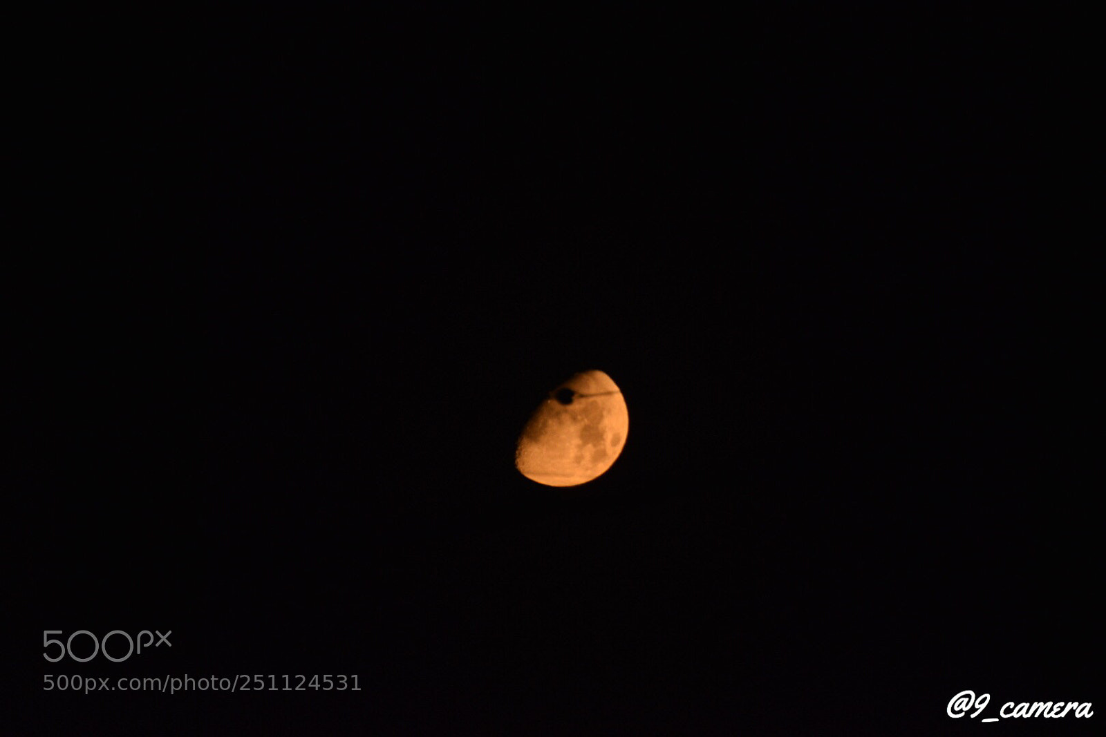 Nikon D5300 sample photo. Afb acb dbccf photography