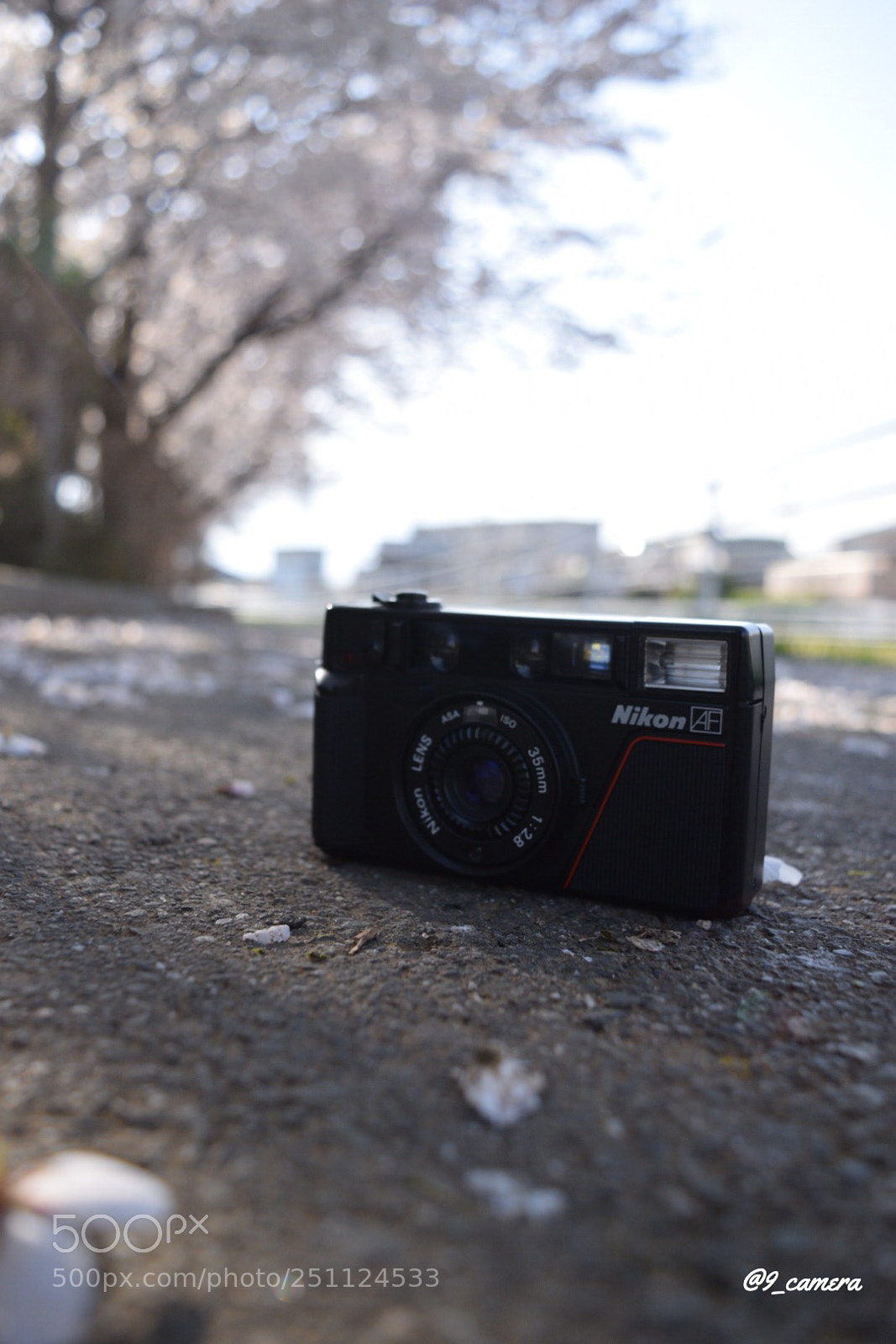Nikon D5300 sample photo. Bebbcda photography