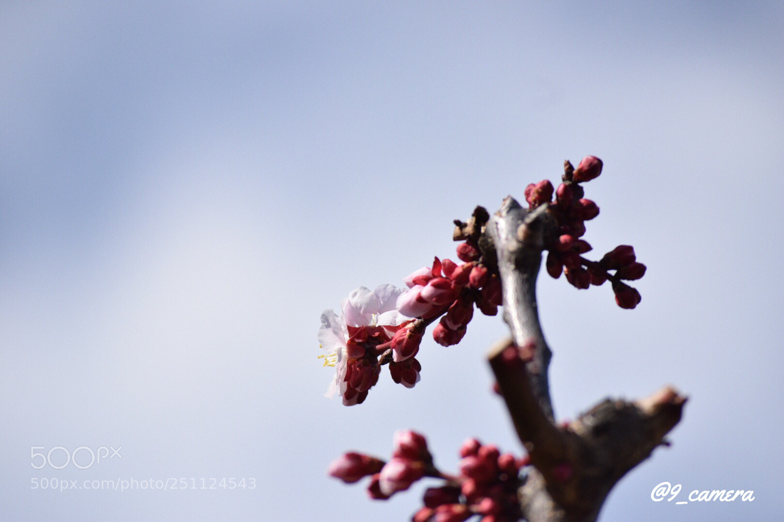 Nikon D5300 sample photo. Fbb ebb afabec photography