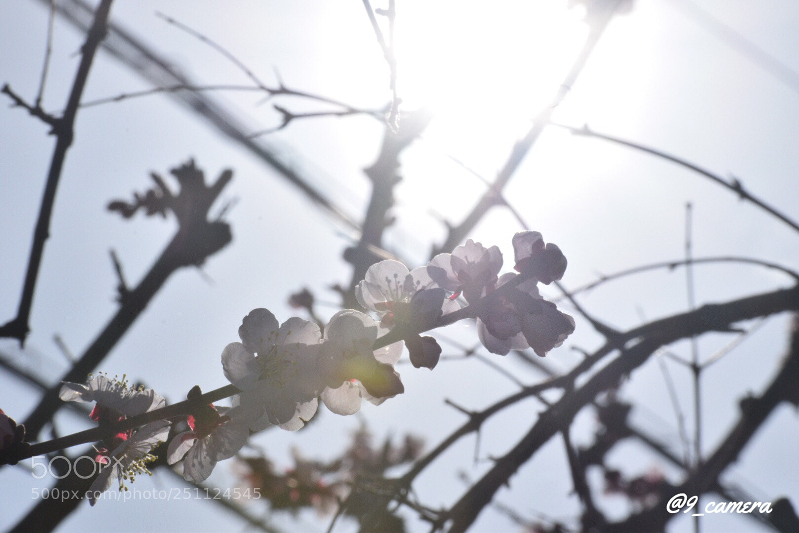 Nikon D5300 sample photo. Ecdedd d photography
