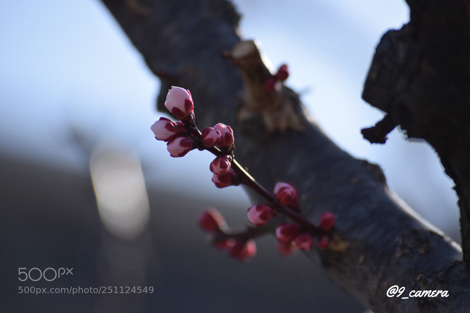 Nikon D5300 sample photo. Cbad ae ebaf photography
