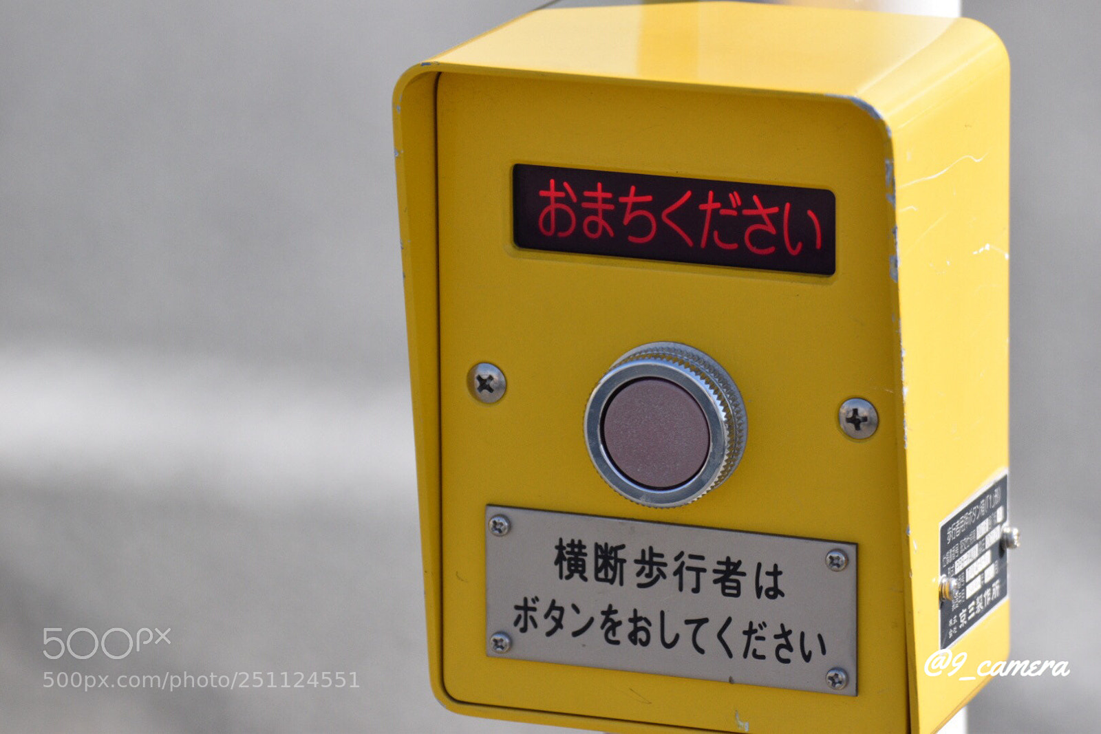 Nikon D5300 sample photo. Cdfdfd ddcfeccc photography