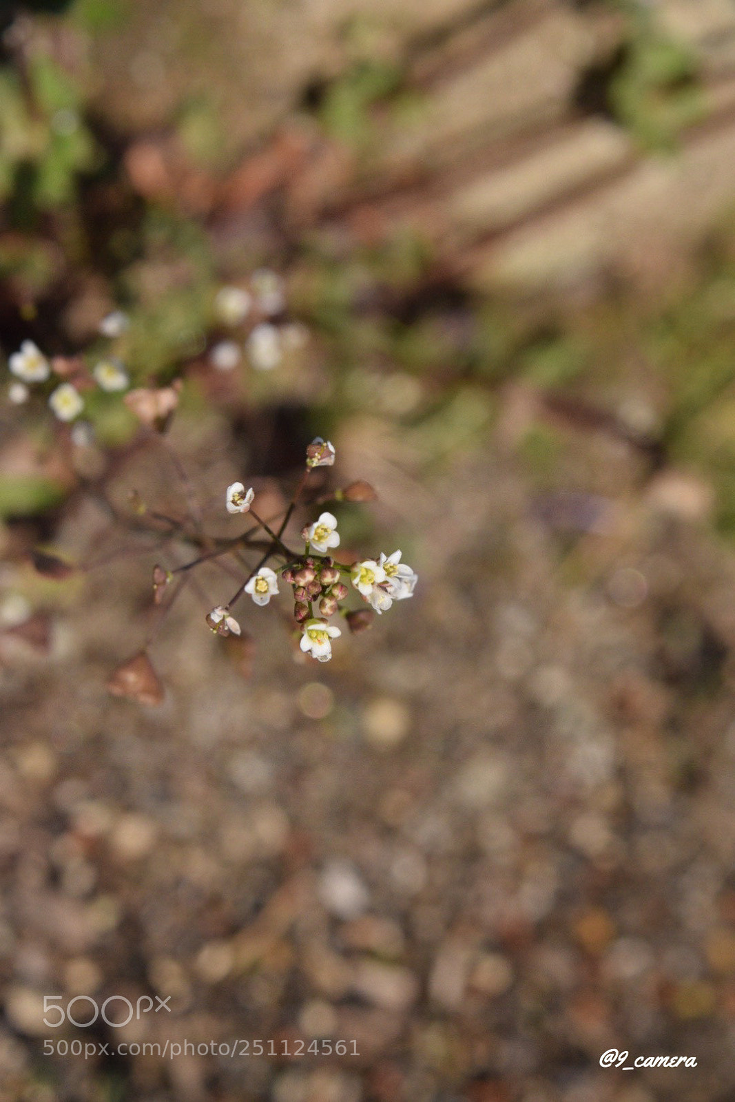 Nikon D5300 sample photo. Cba bdbc aec photography