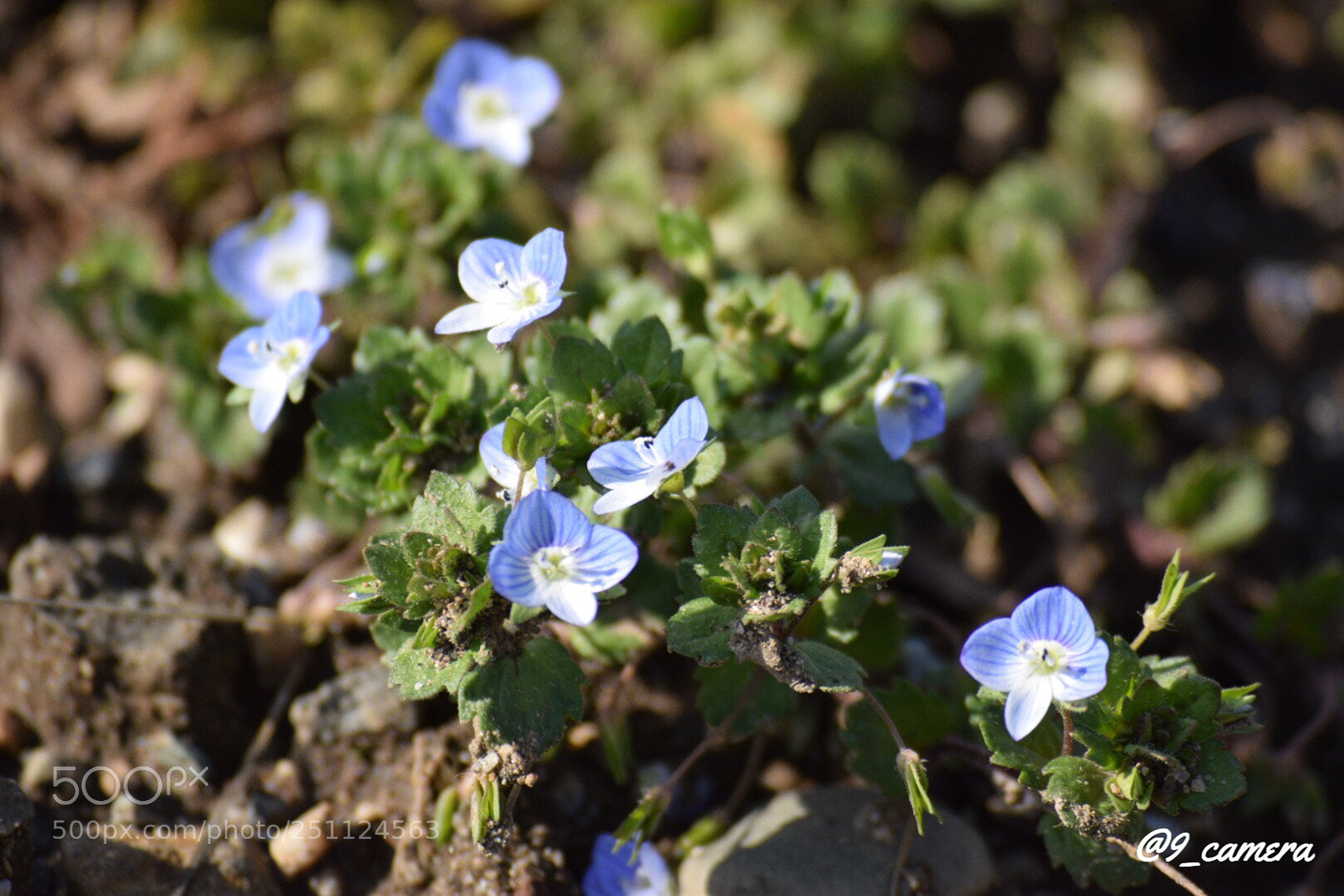 Nikon D5300 sample photo. Afffdd fca eabcbfab photography