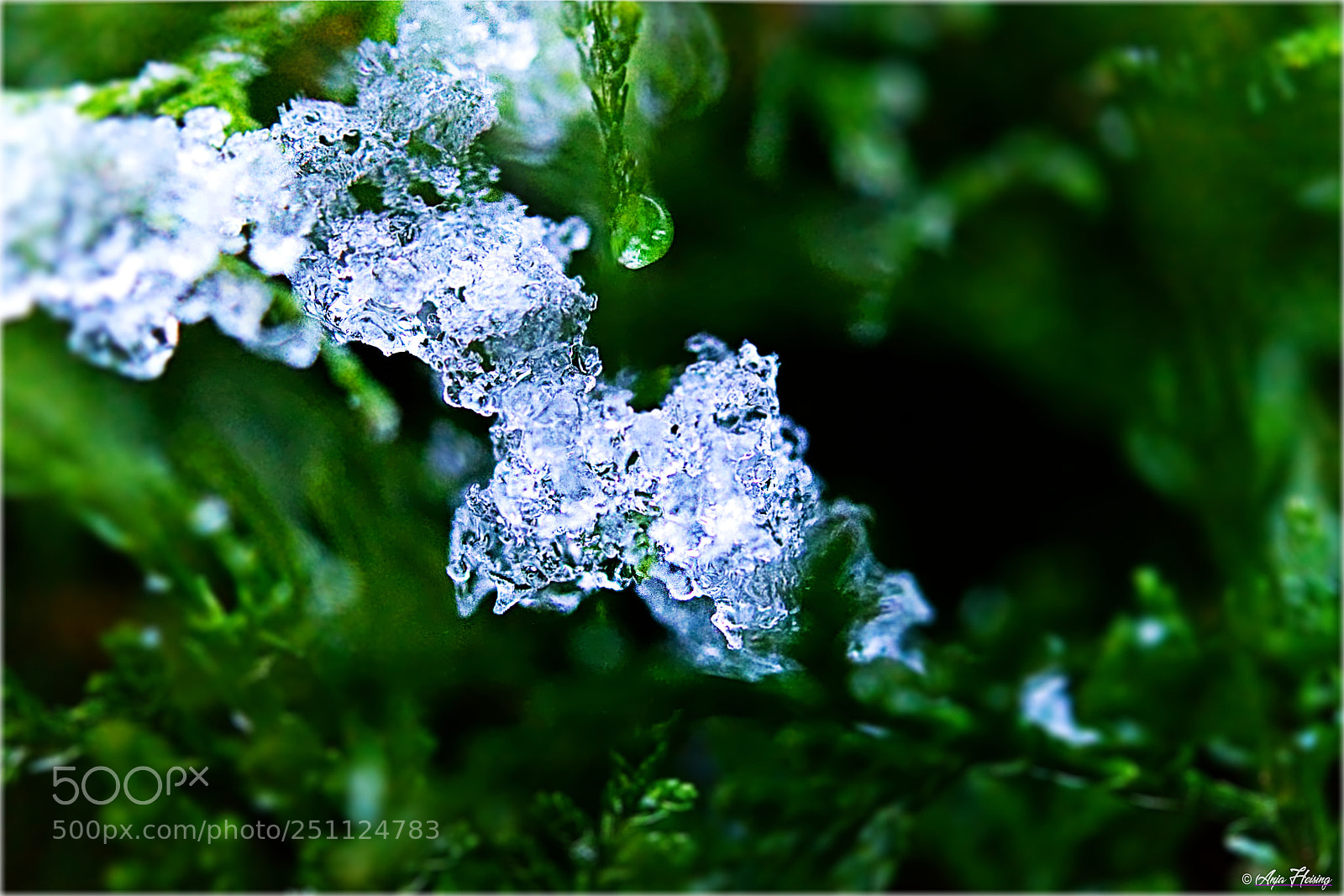Sony SLT-A68 sample photo. Ice 2 photography