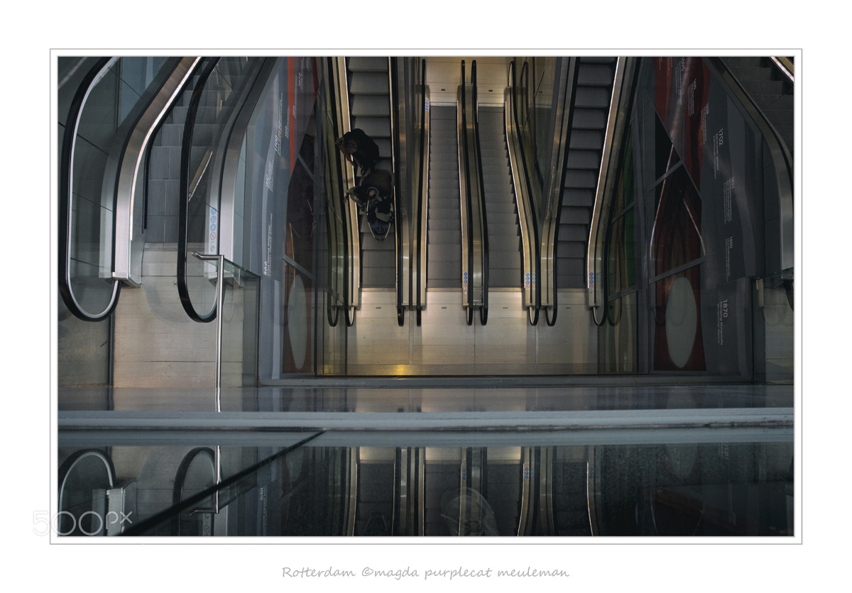 Canon EOS 5D Mark II sample photo. Markthal/ rotterdam photography