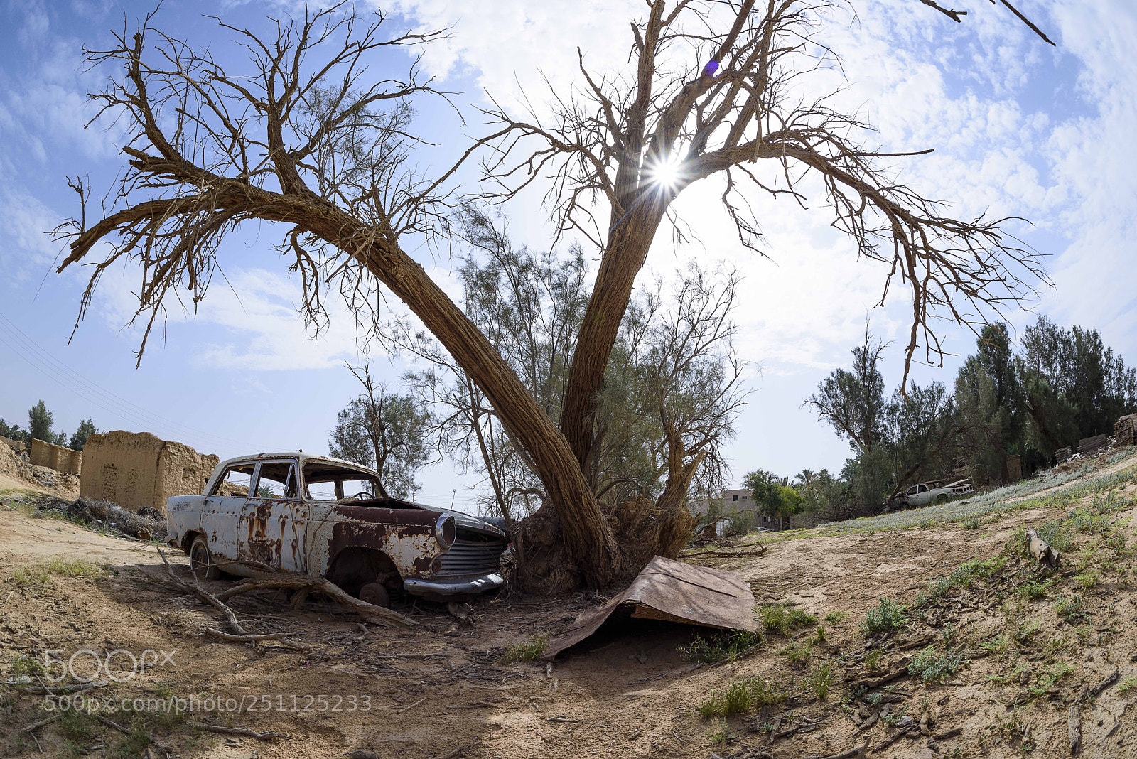 Nikon D810 sample photo. Abandoned car photography