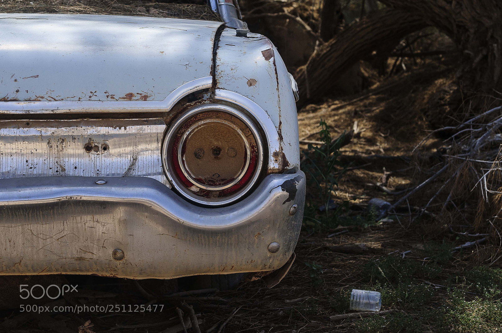 Nikon D300 sample photo. Ford photography