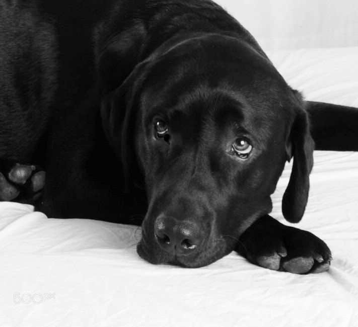 Nikon D300 sample photo. Rip titan photography