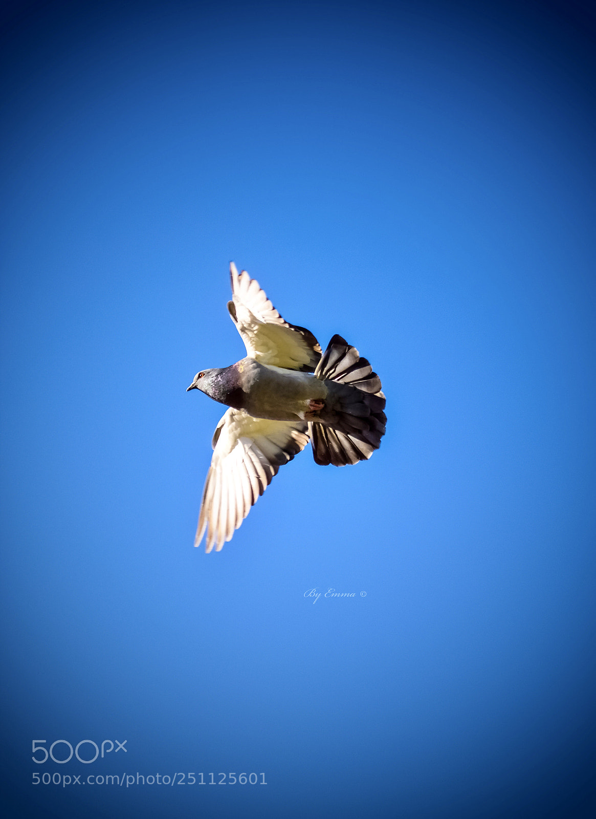 Nikon D3300 sample photo. Untitled photography