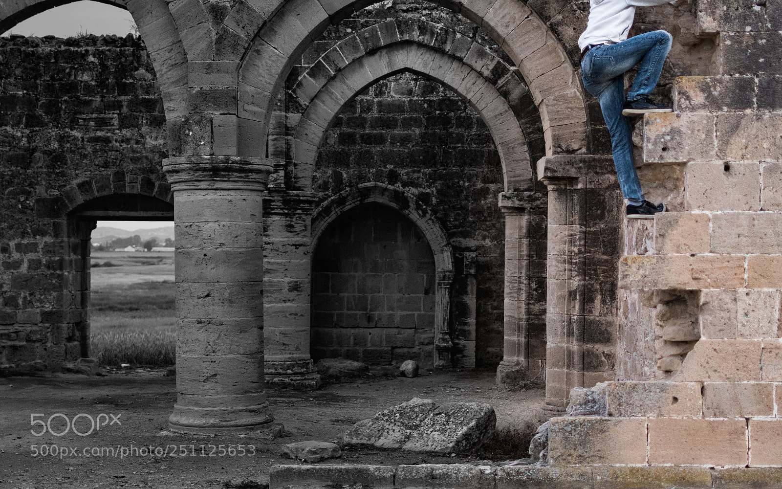 Nikon D500 sample photo. Going up!! photography