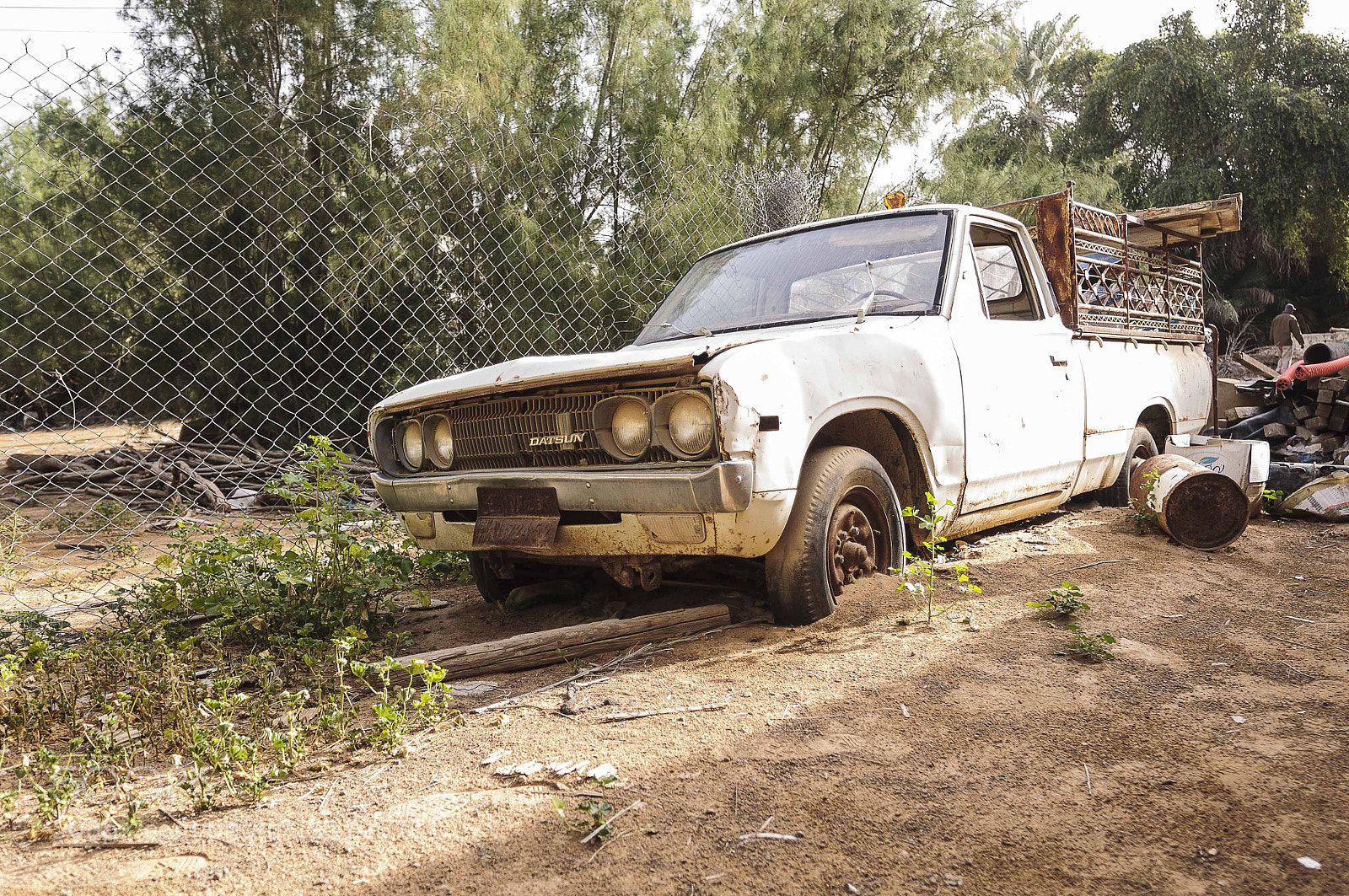 Nikon D300 sample photo. Datsun photography