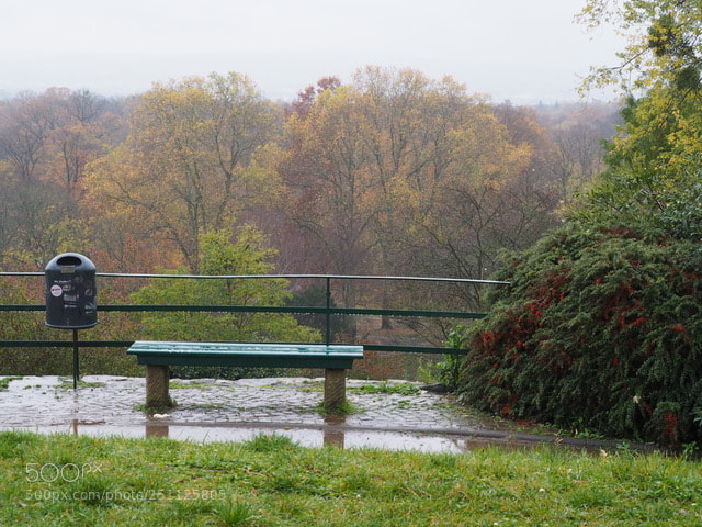 Olympus OM-D E-M10 II sample photo. Rainy november photography