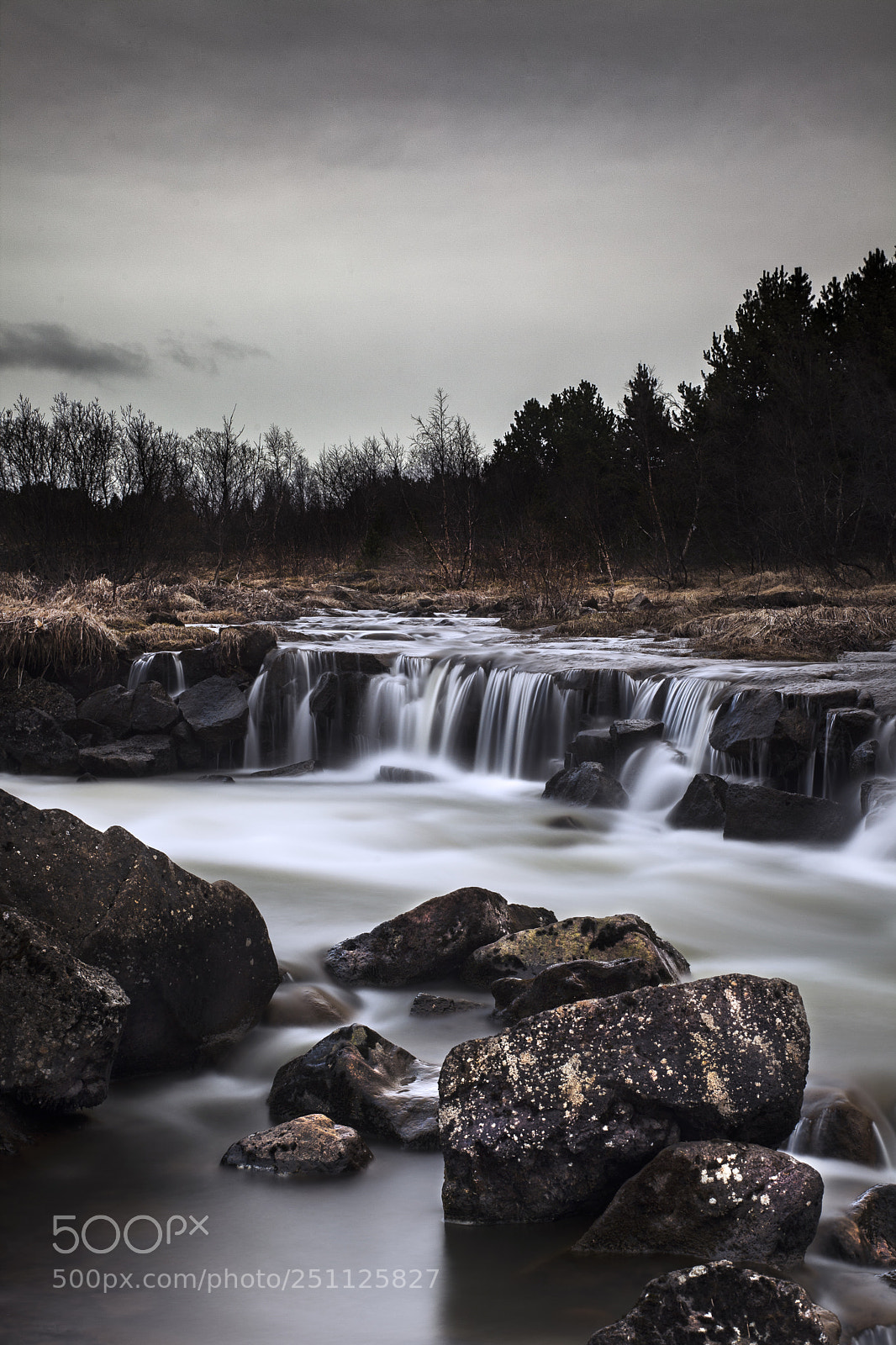Canon EOS 5D Mark II sample photo. Last days of winter photography