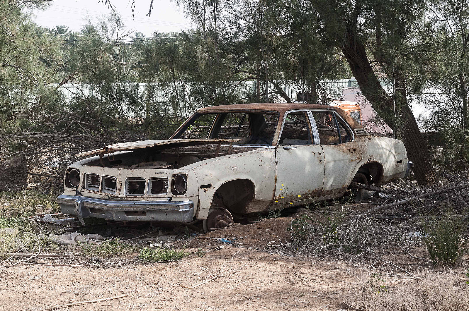 Nikon D300 sample photo. Pontiac photography